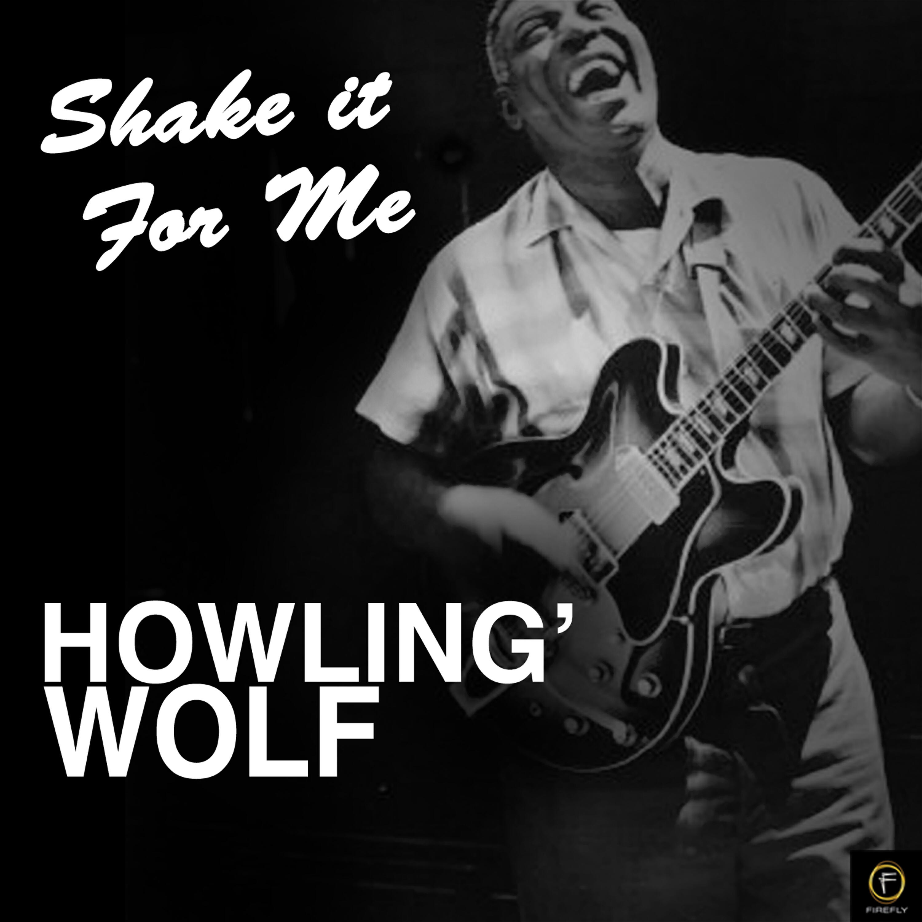 Релиз Shake It for Me