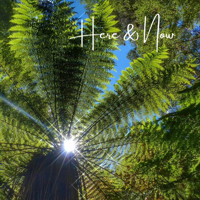 Релиз Here & Now