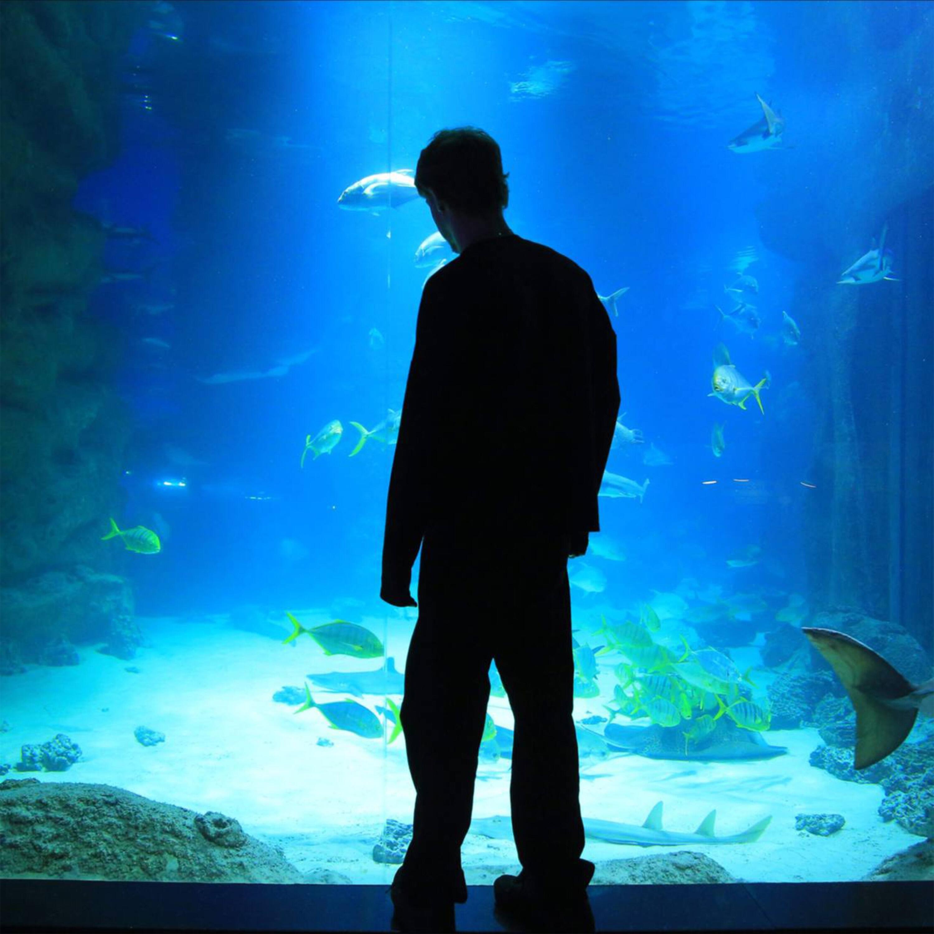 Релиз Корабли