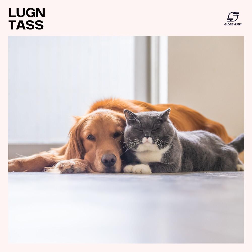 Релиз Lugn Tass: Musik för Hundar