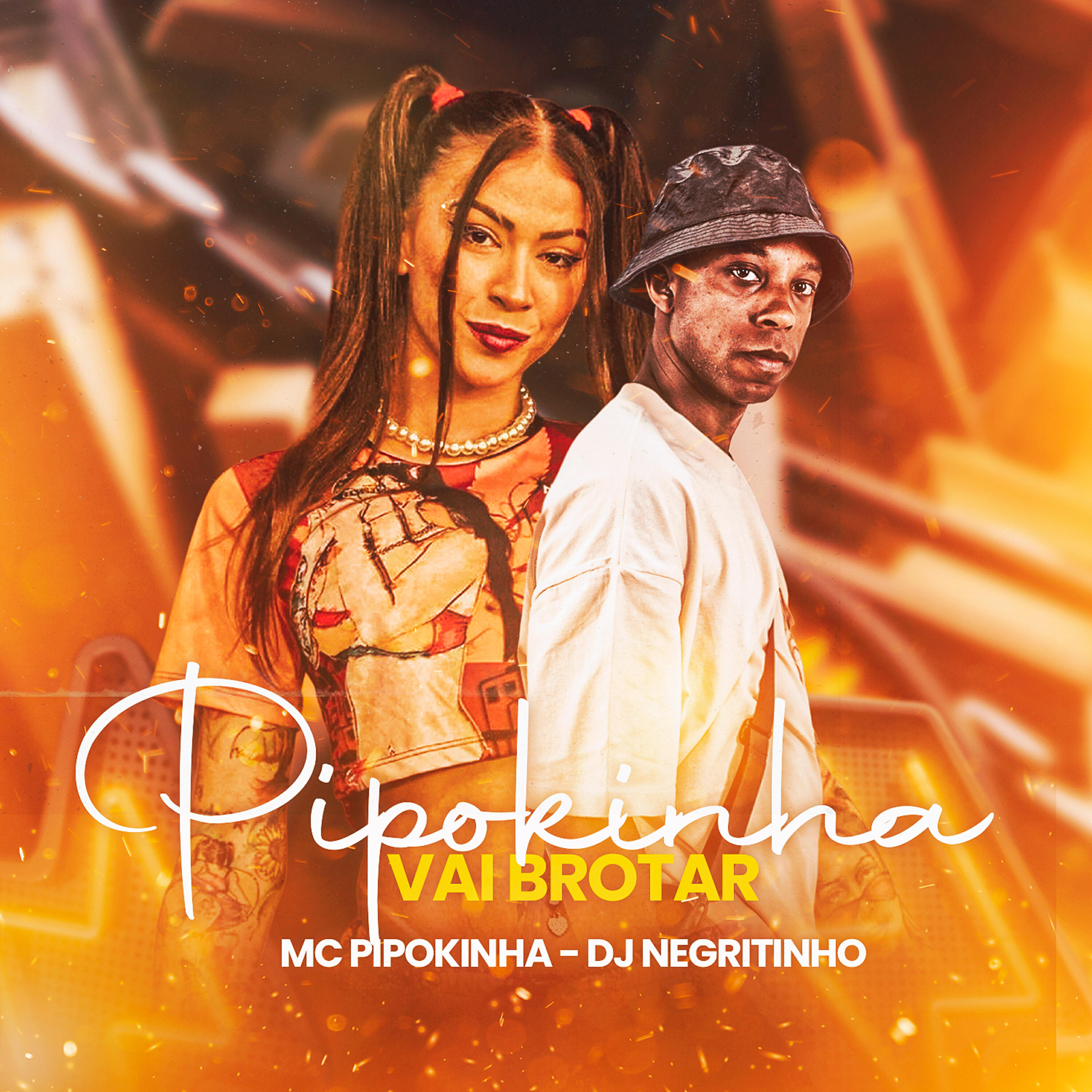 Альбом Pipokinha Vai Brota исполнителя DJ Negritinho, MC Pipokinha