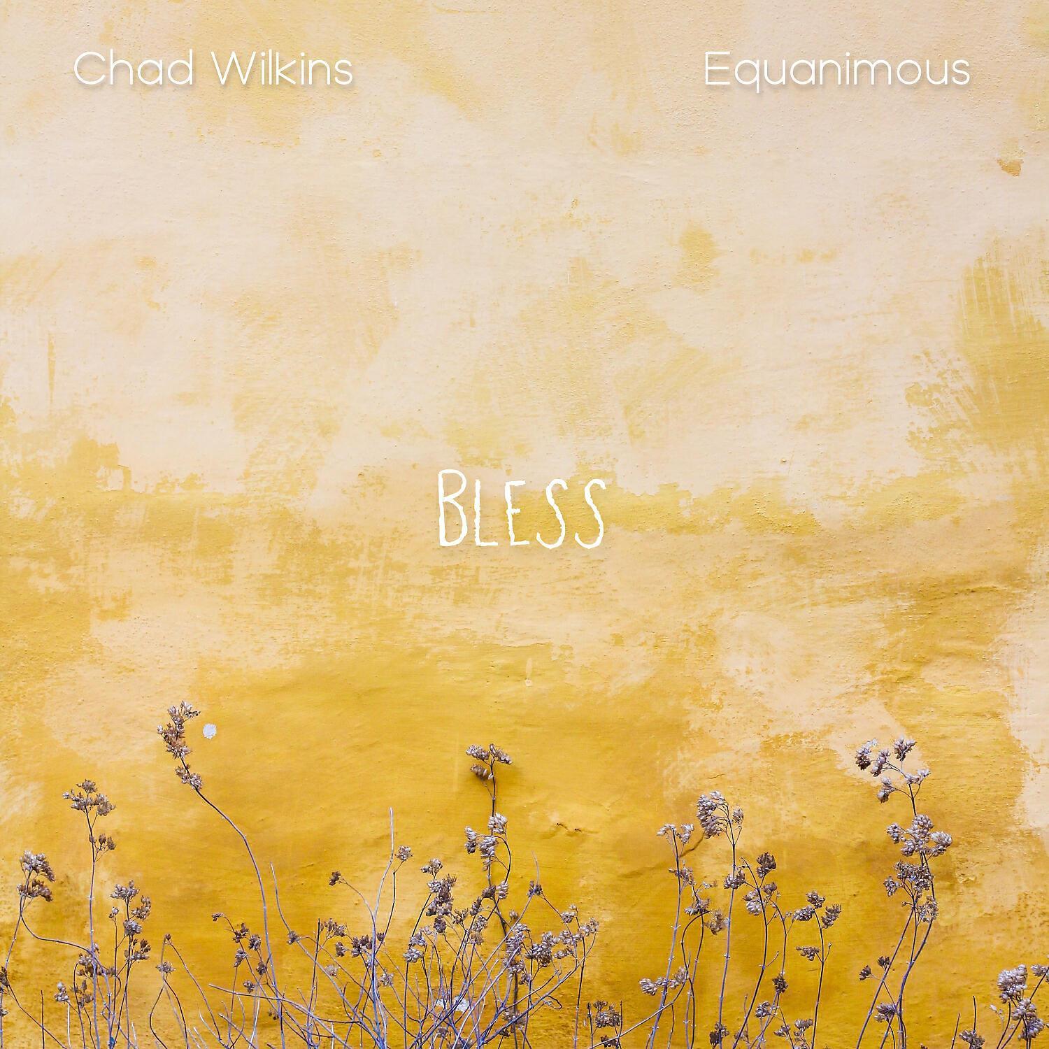 Chad Wilkins