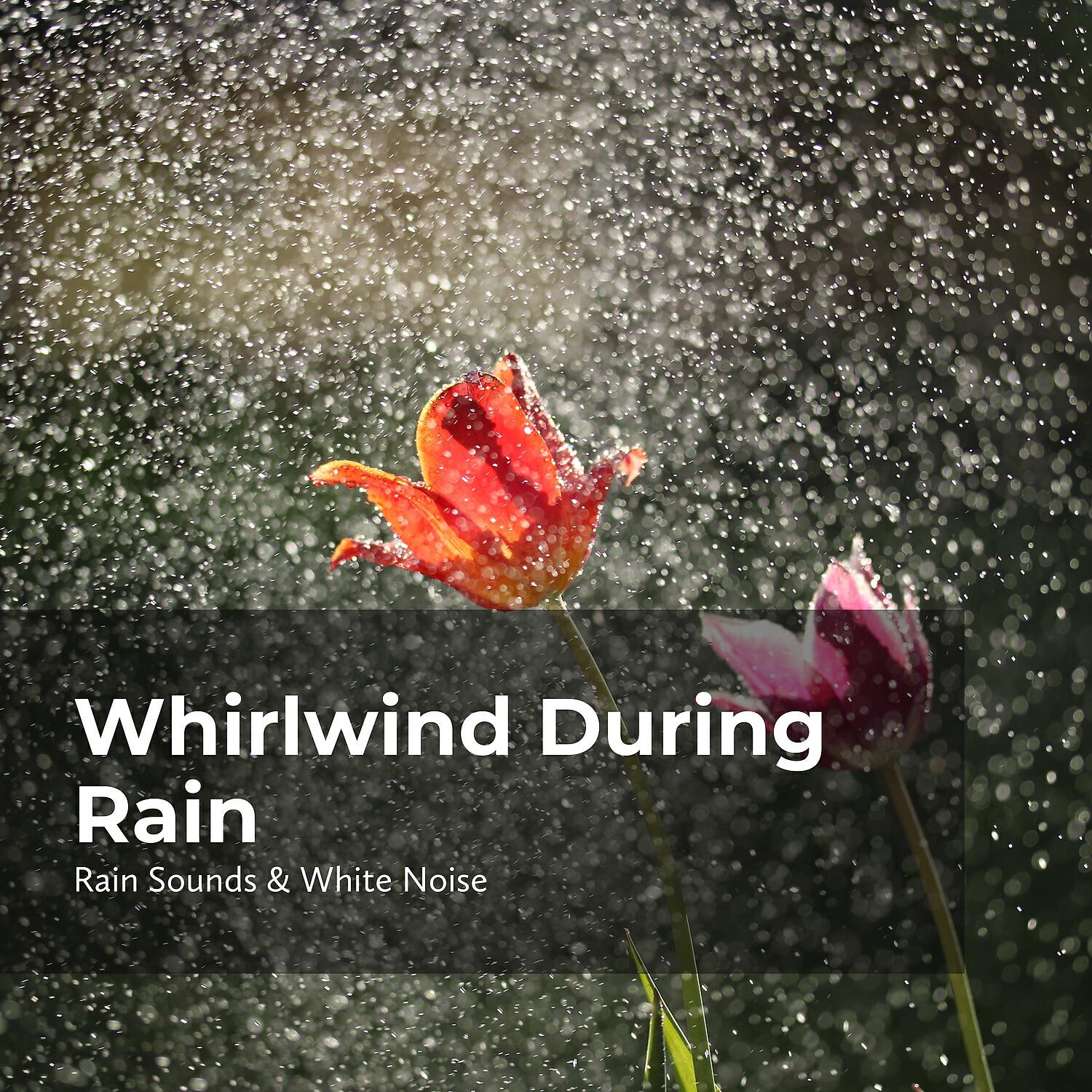 Релиз Whirlwind During Rain