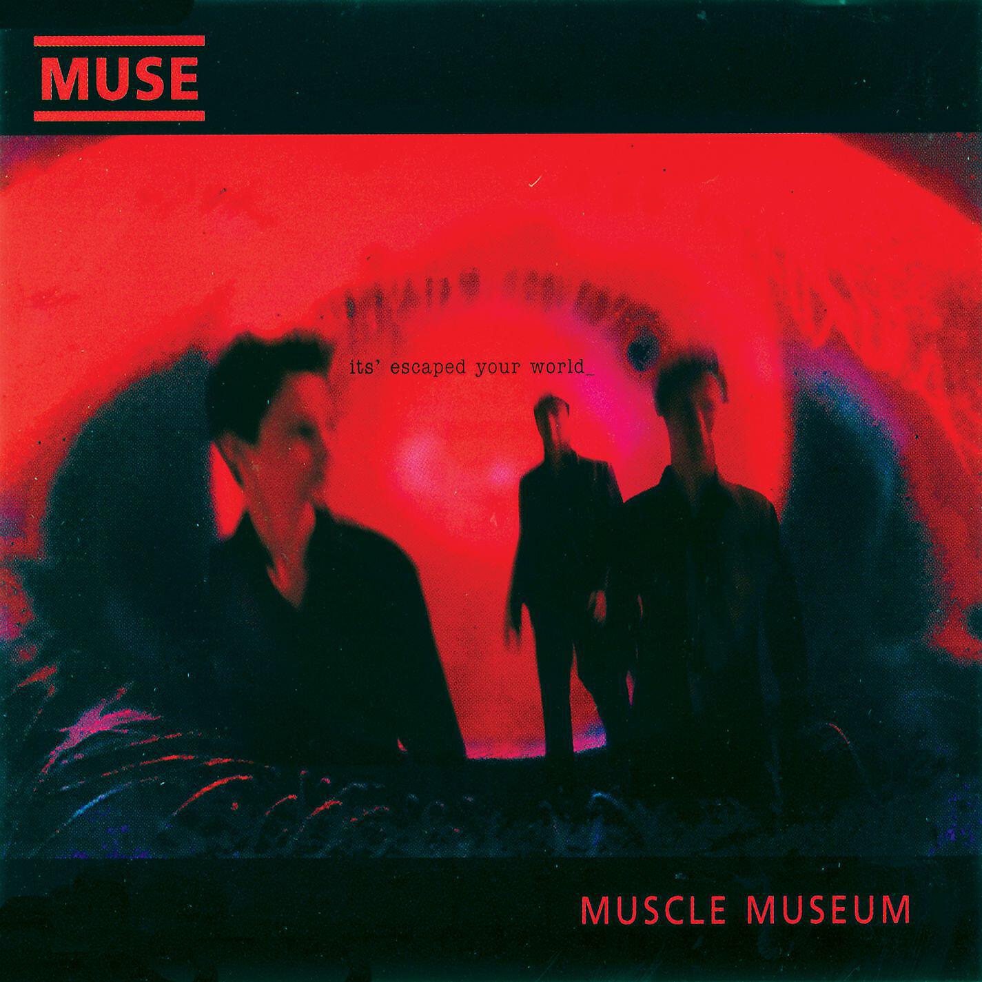 Релиз Muscle Museum