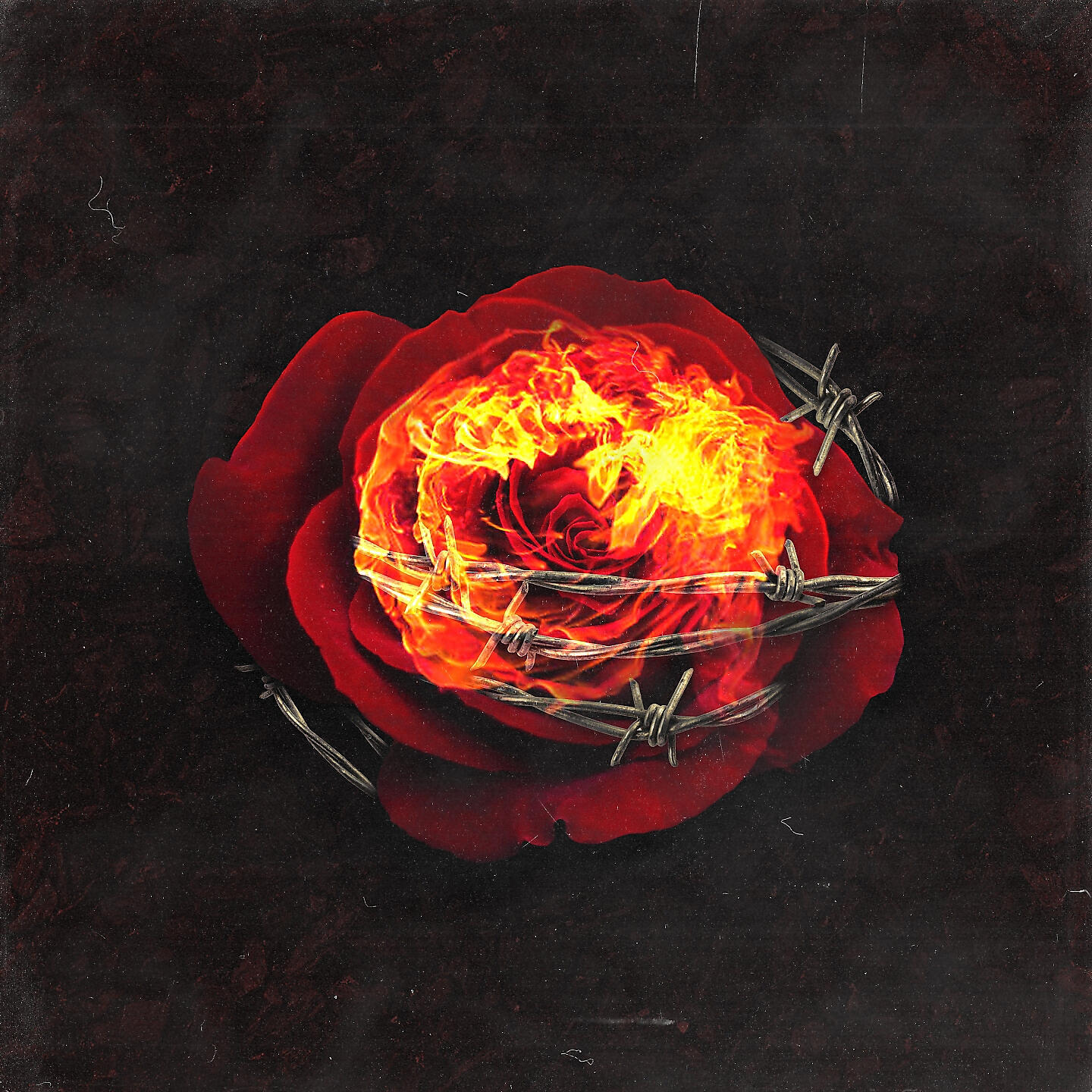 Релиз Enough