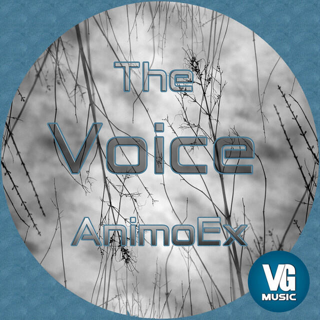Релиз The Voice