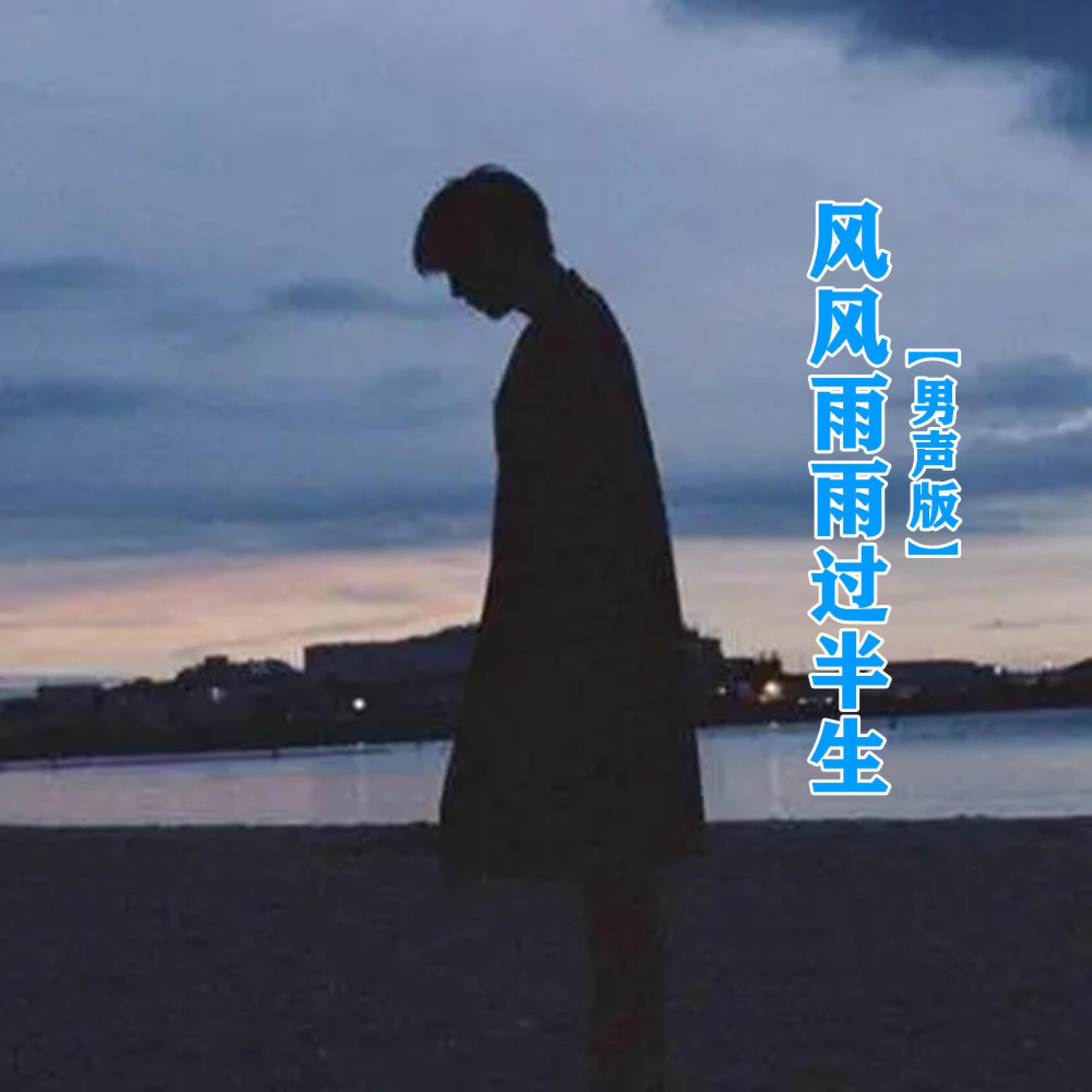 Релиз 风风雨雨过半生