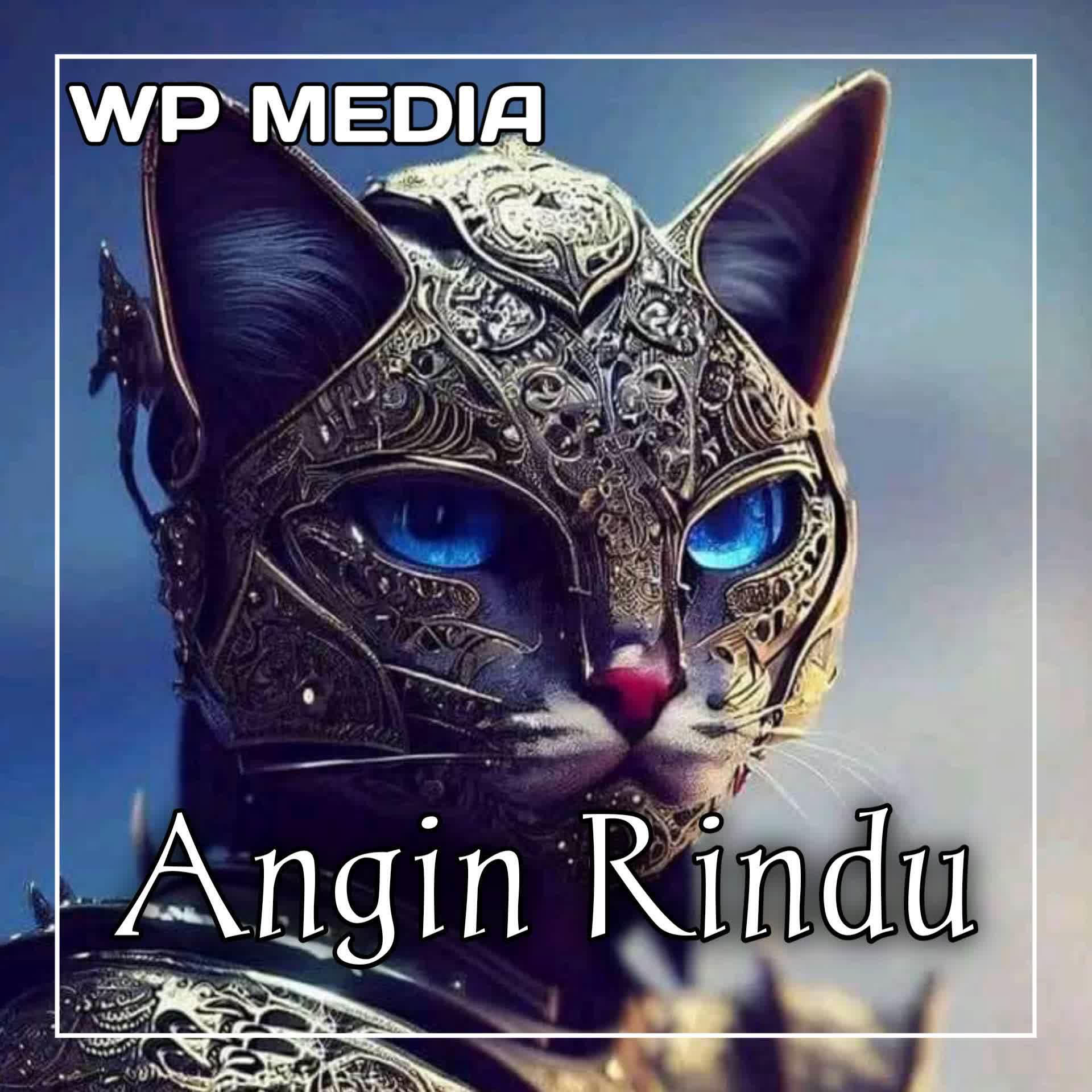 Релиз DJ Angin Rindu