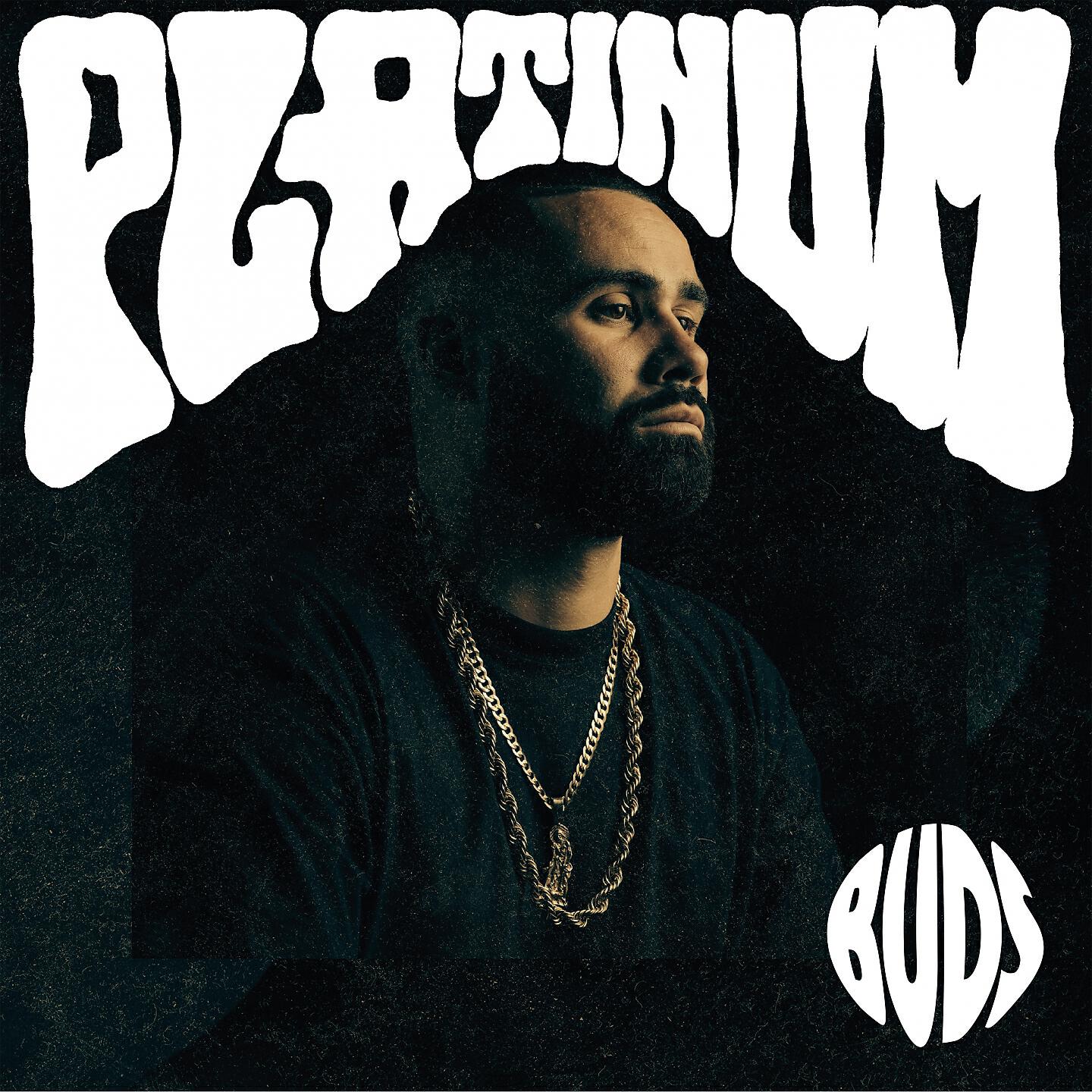 Релиз Platinum