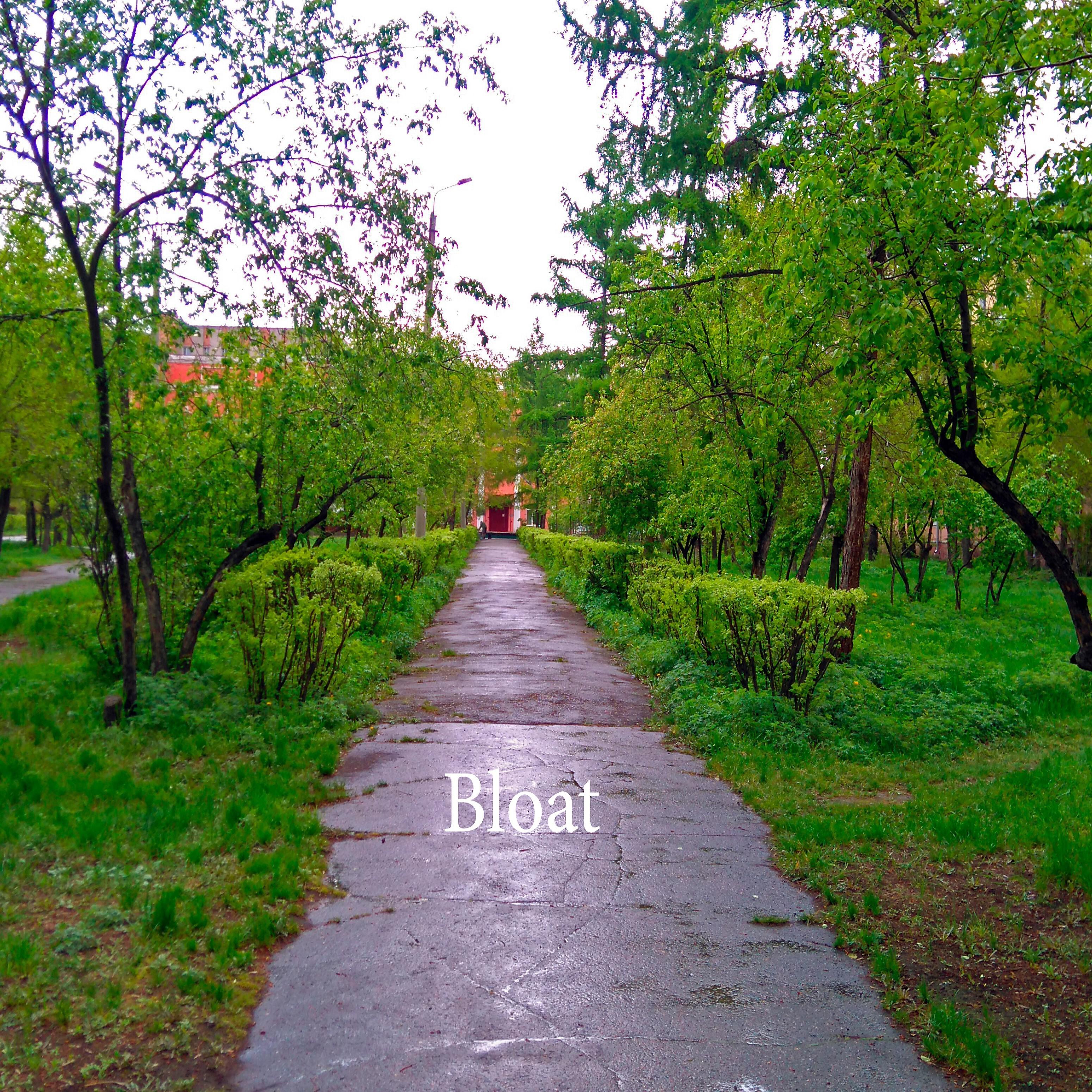 Релиз Bloat
