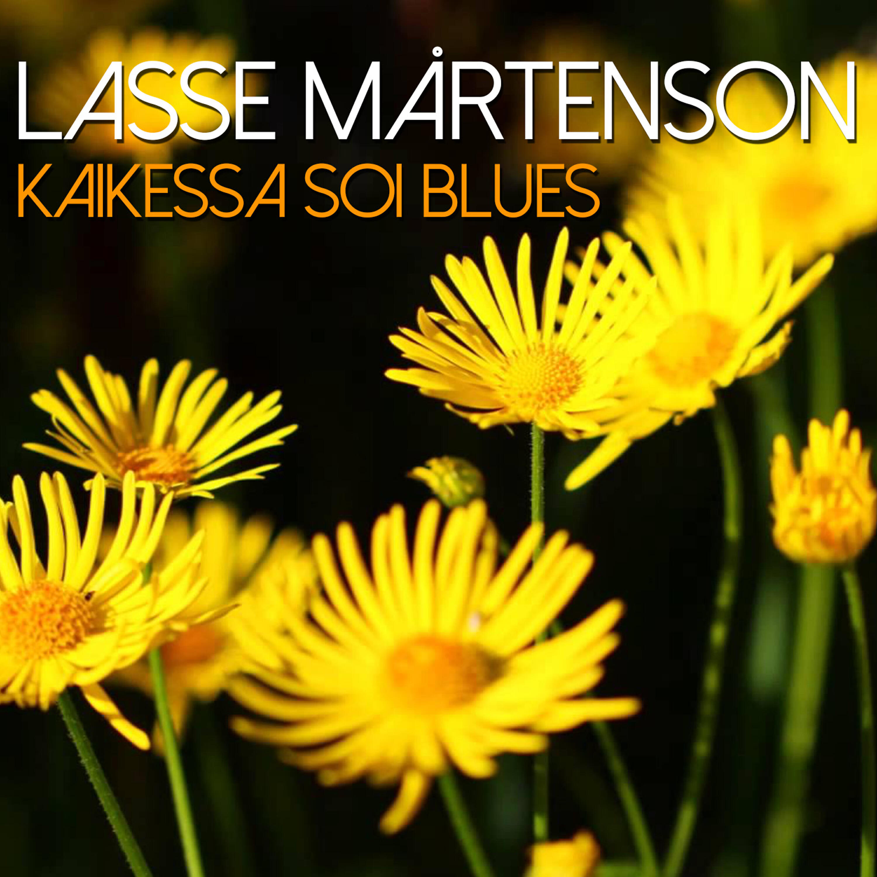 Релиз Kaikessa Soi Blues