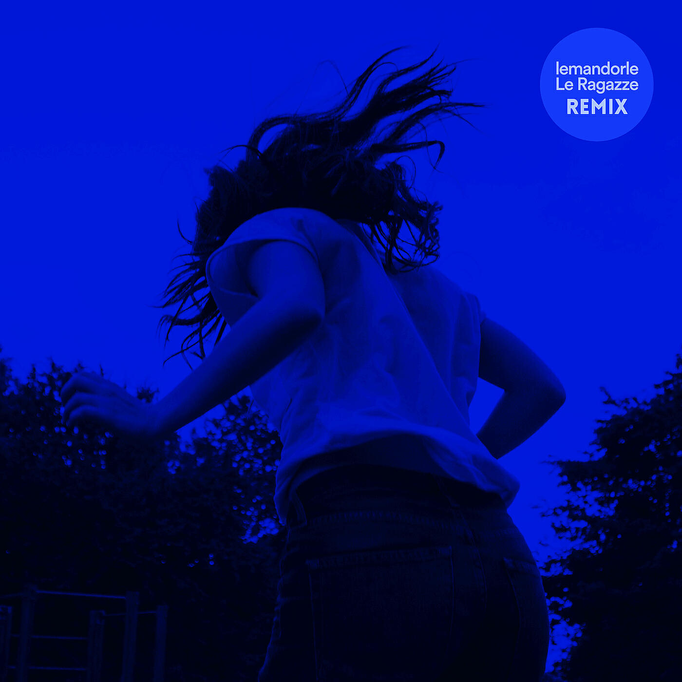 Релиз Le ragazze (Remix)
