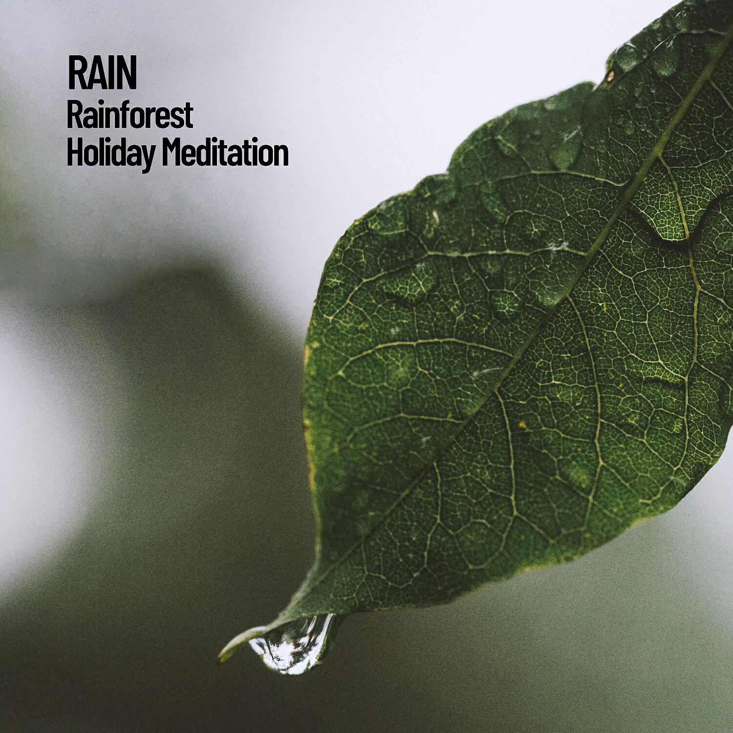 Релиз Rain: Rainforest Holiday Meditation