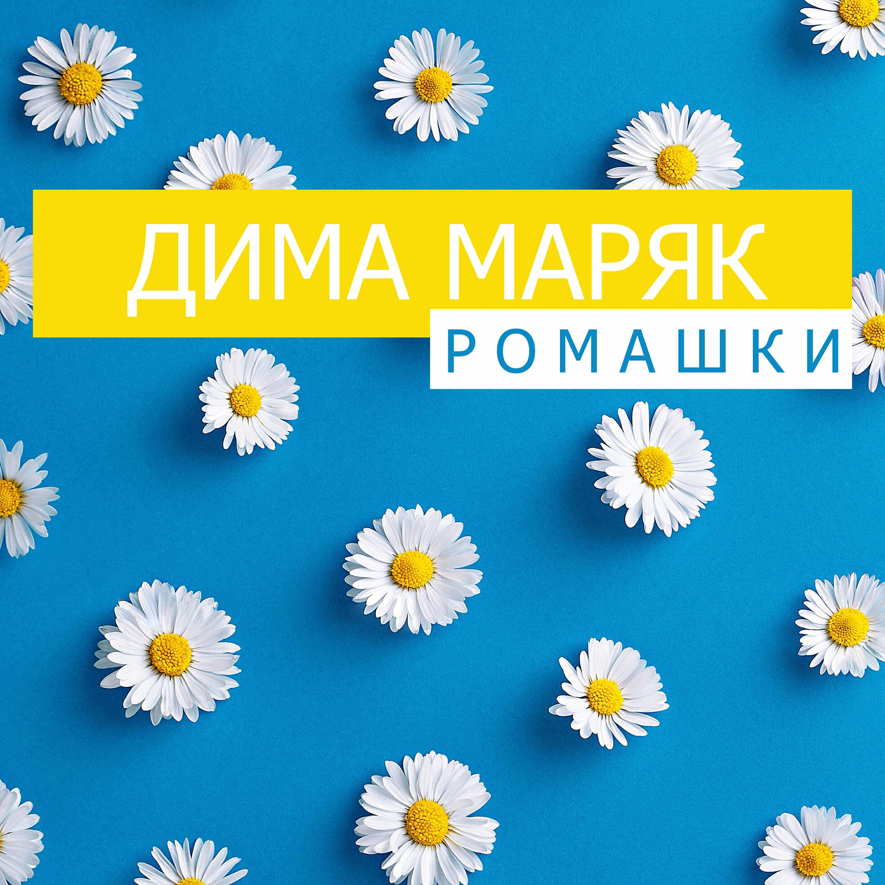 Релиз Ромашки