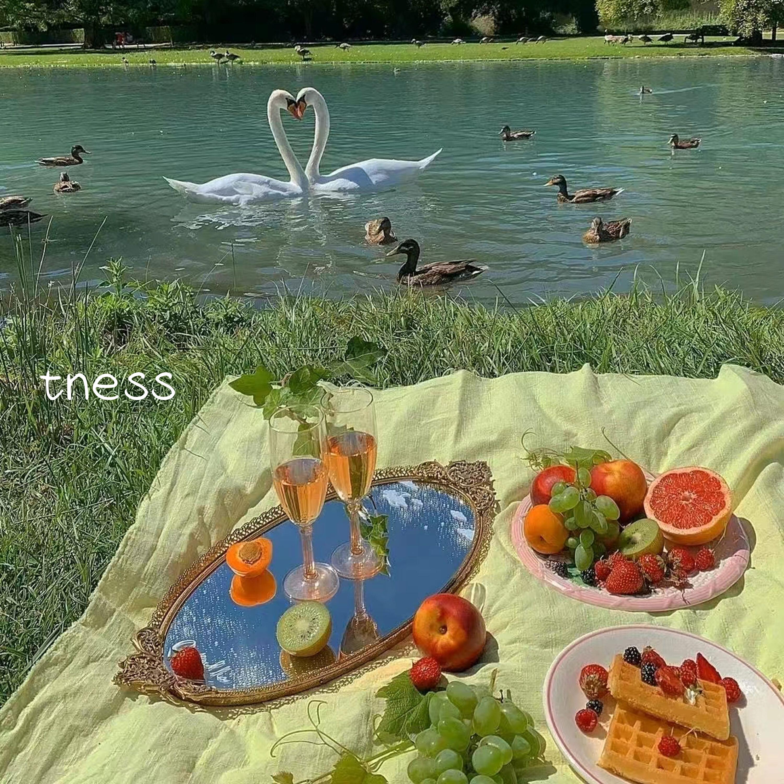 Релиз tness