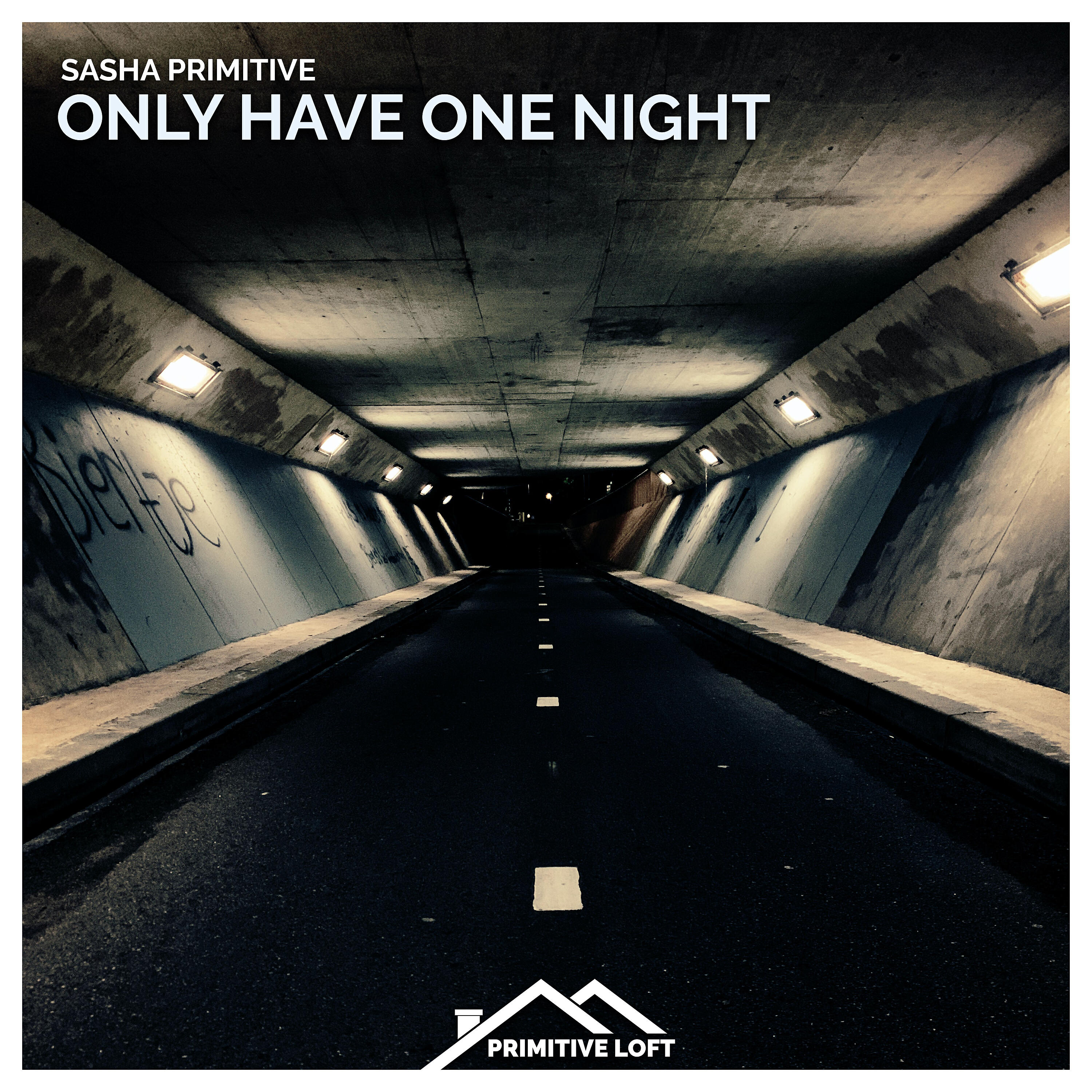 Релиз Only Have One Night