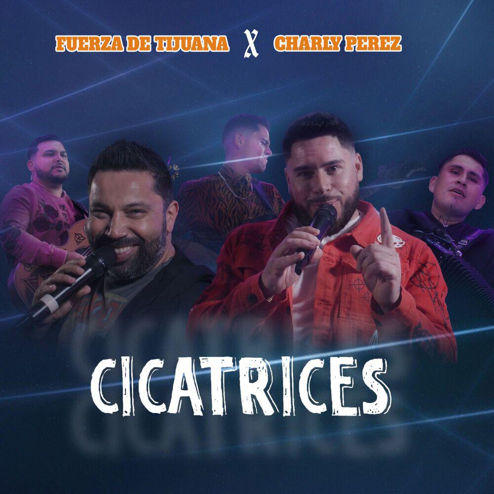 Релиз Cicatrices