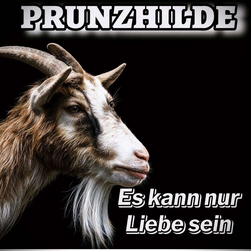 Релиз Es kann nur Liebe sein (Radiocut)