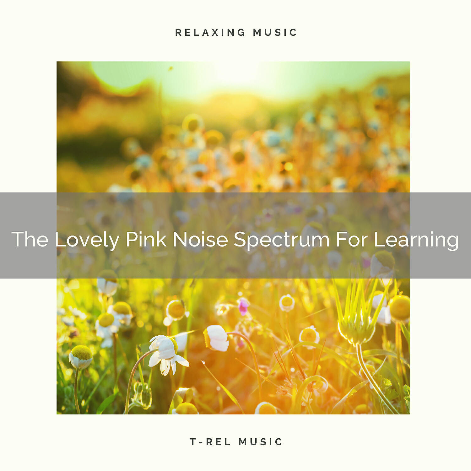 Релиз The Lovely Pink Noise Spectrum For Learning