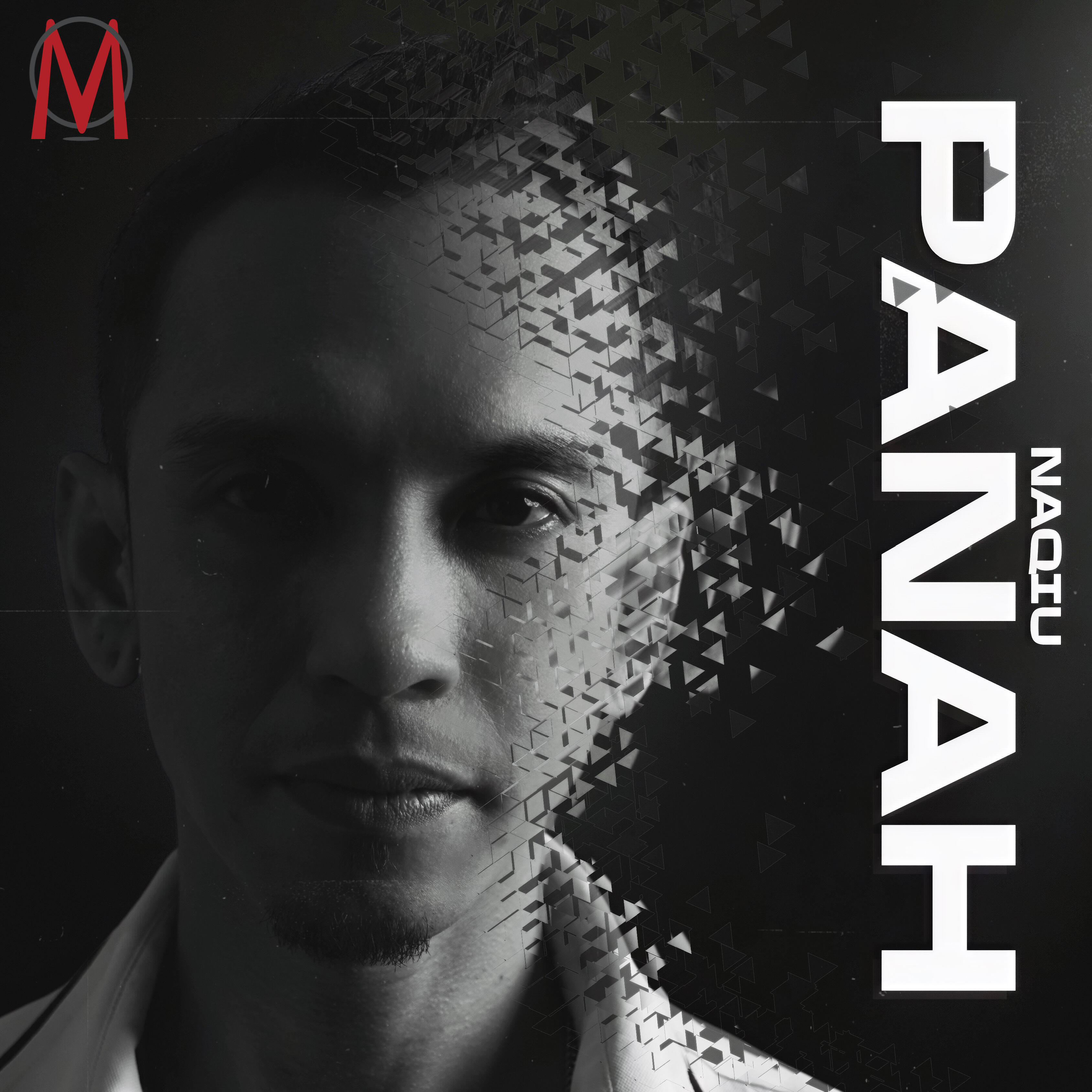 Постер альбома Panah