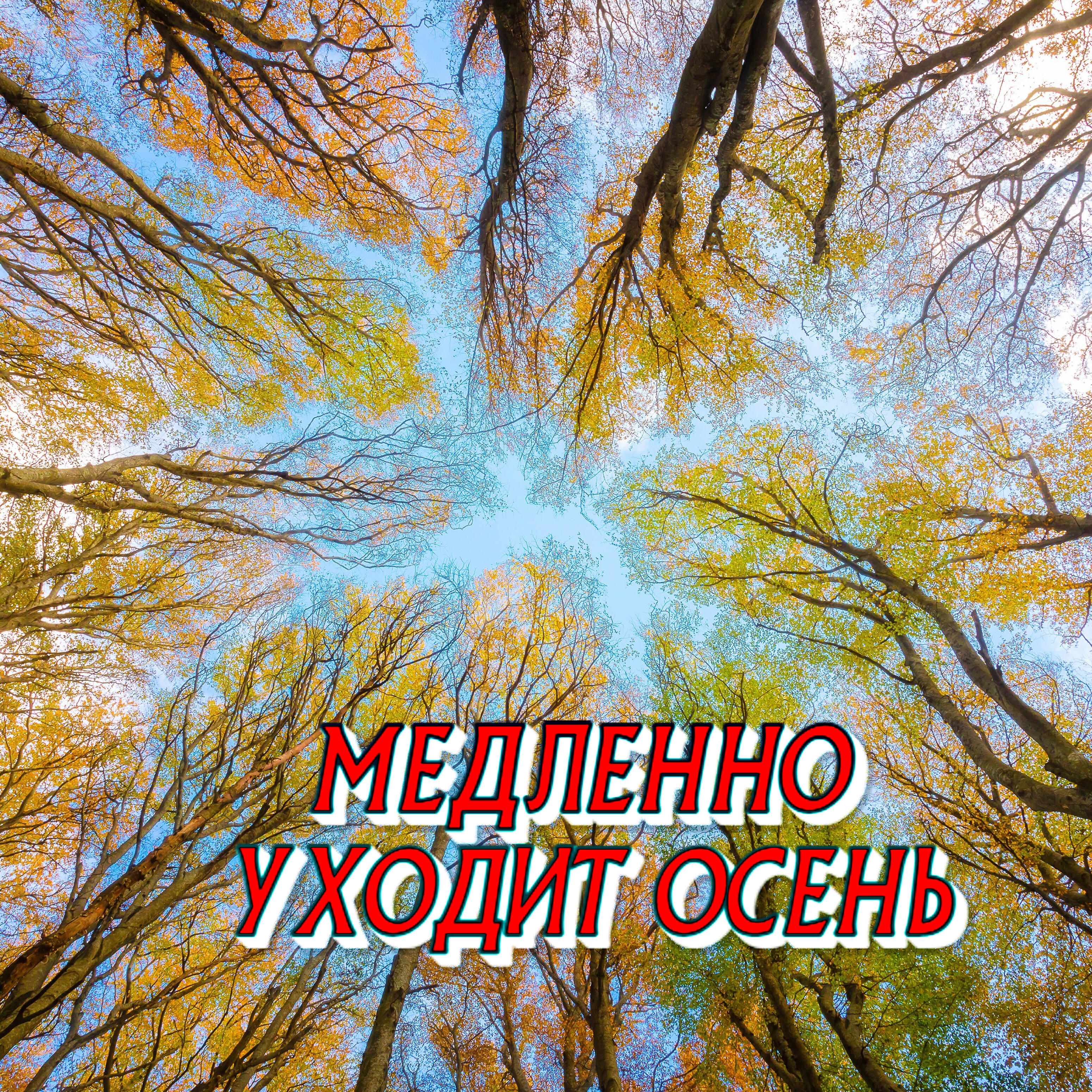 Постер альбома Медленно уходит осень