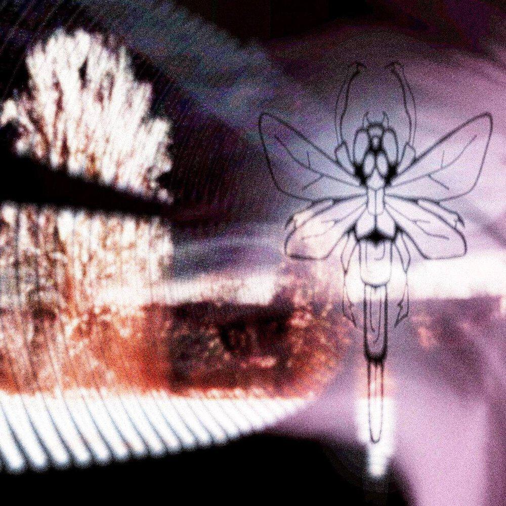 Релиз dragonfly