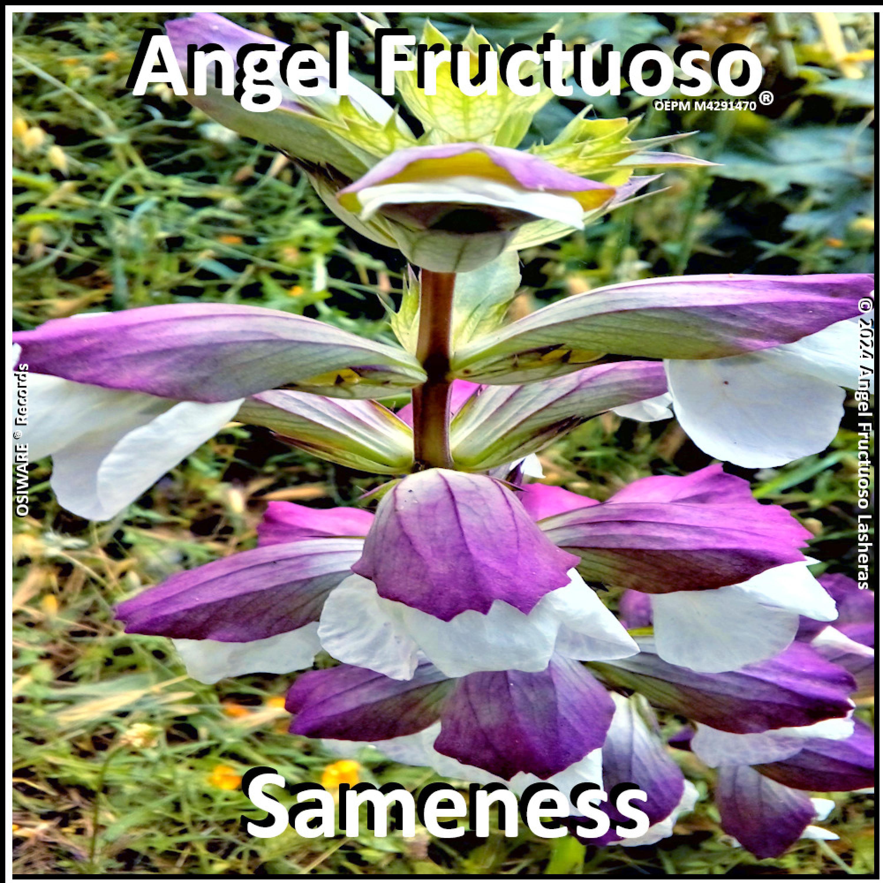 Релиз Sameness