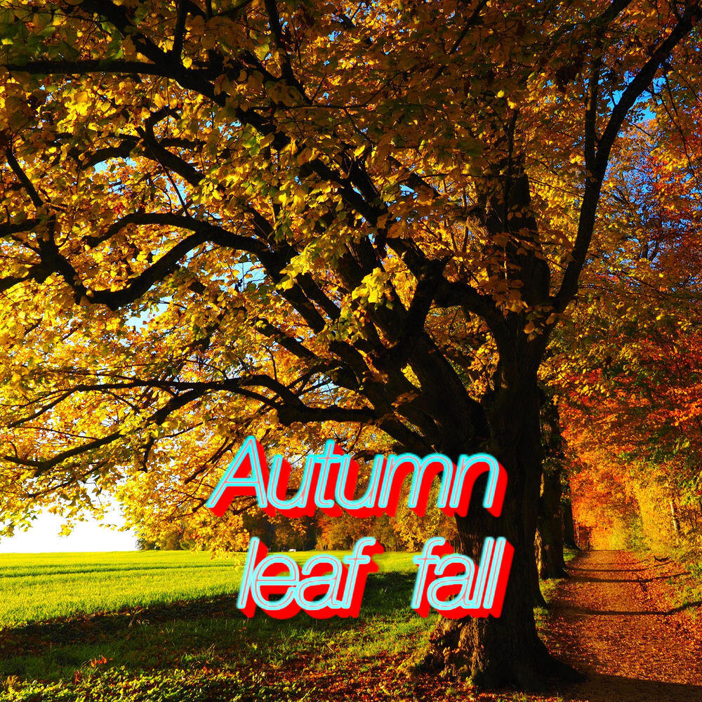 Трек Autumn leaf fall