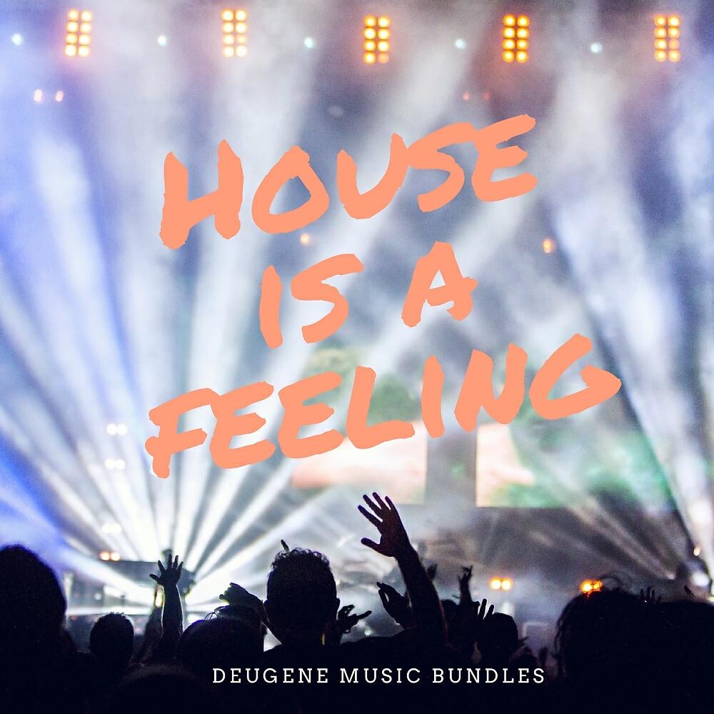 Релиз House Is A Feeling