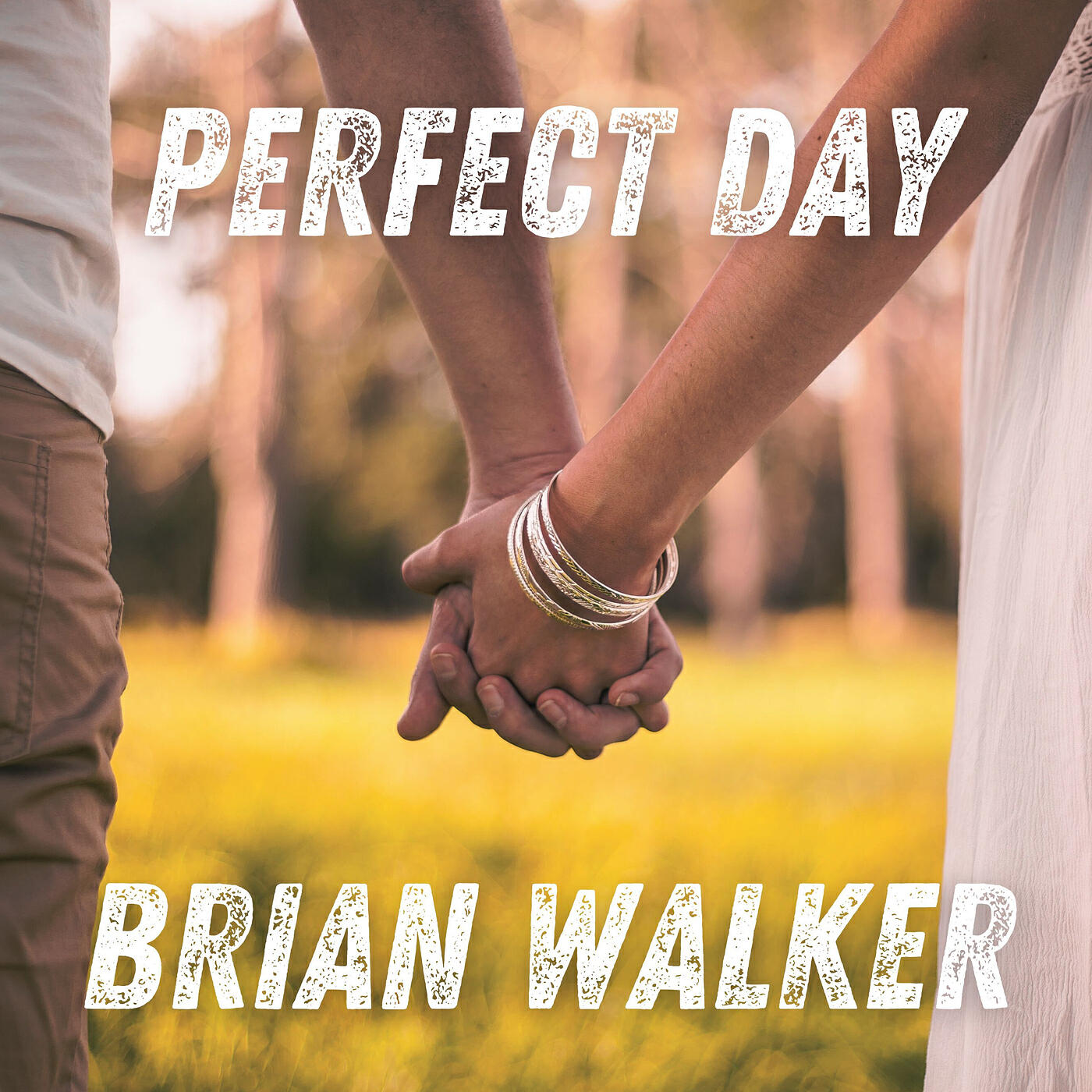 Релиз Perfect Day