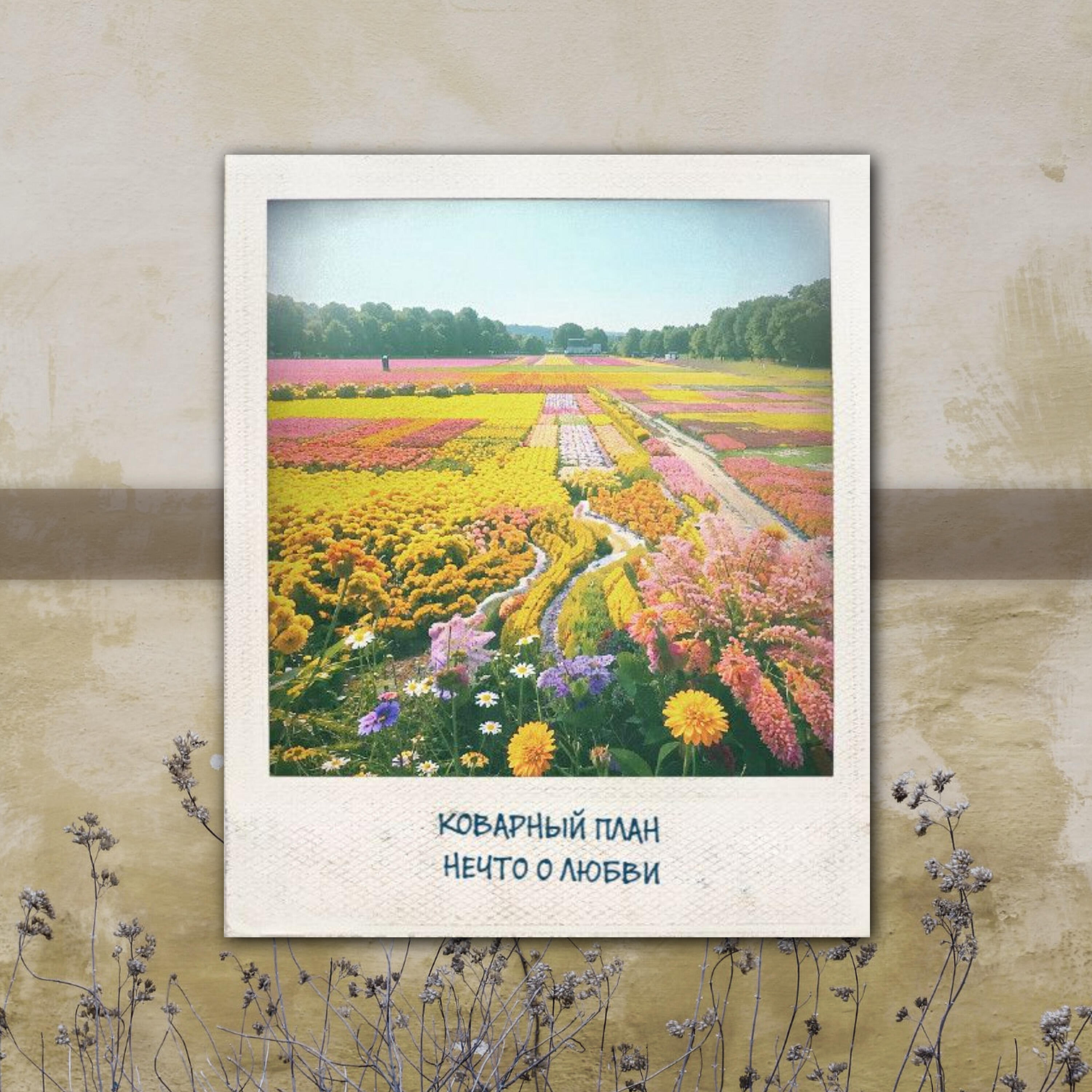 Коварный План