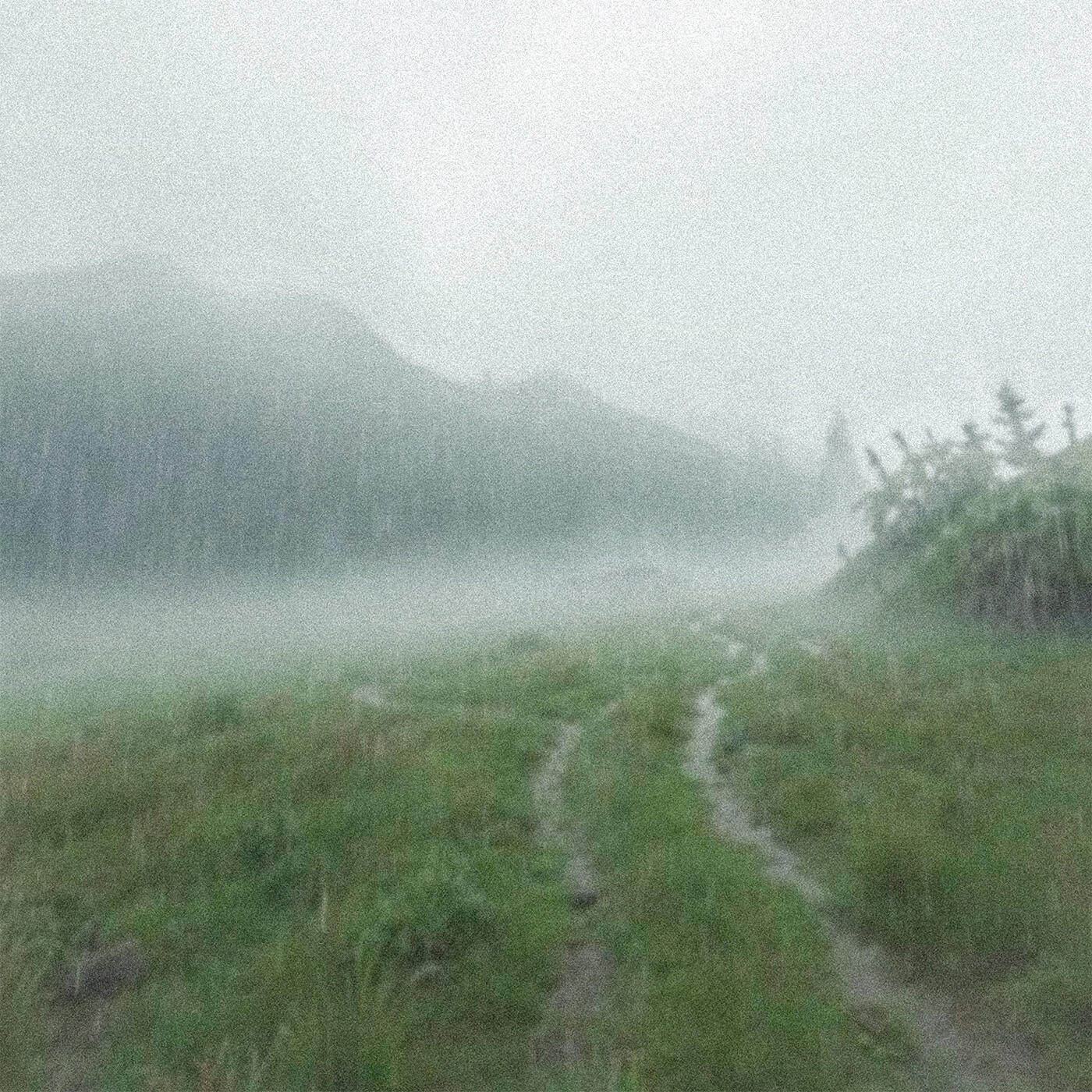 Релиз anxiety