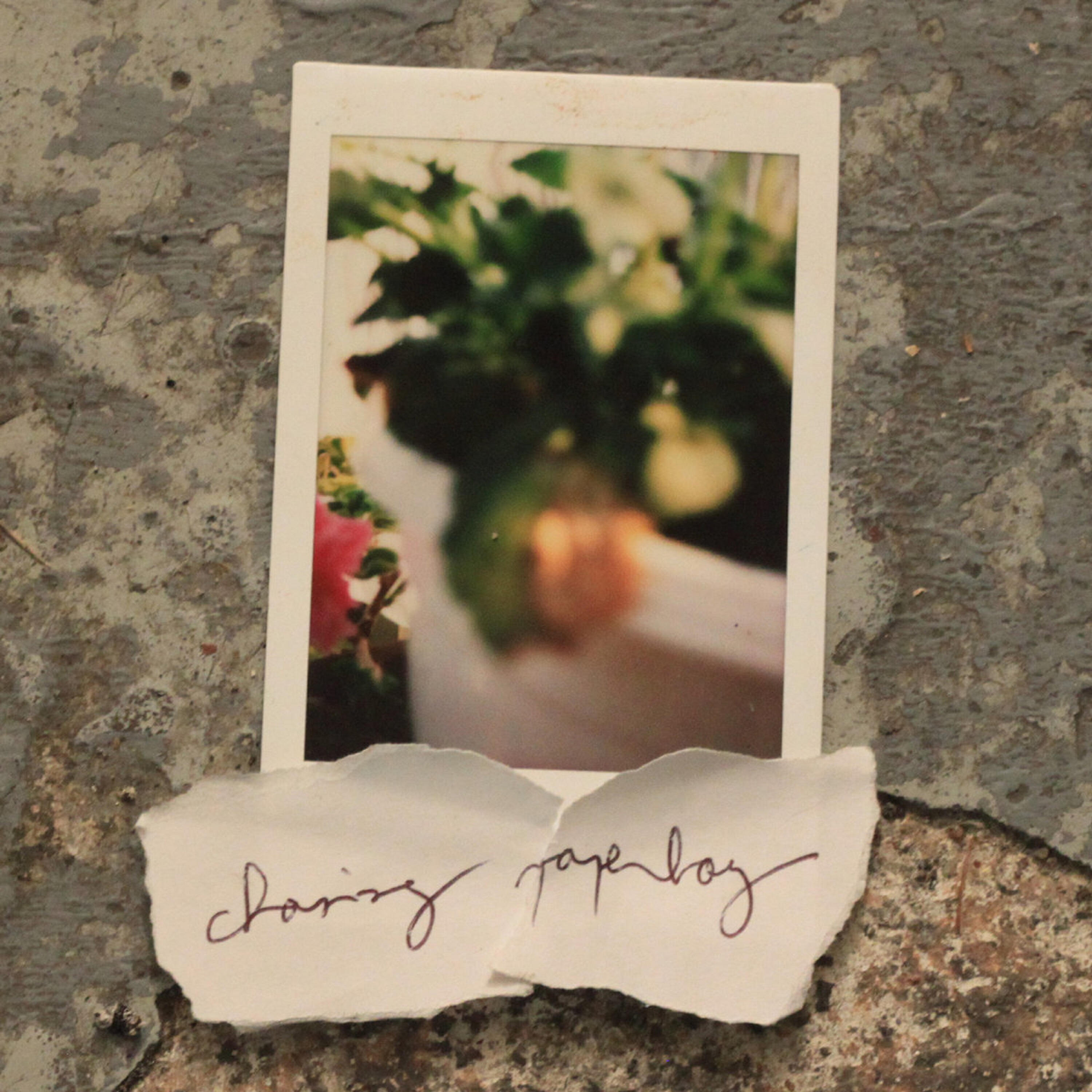 Релиз Chasing Paperboy