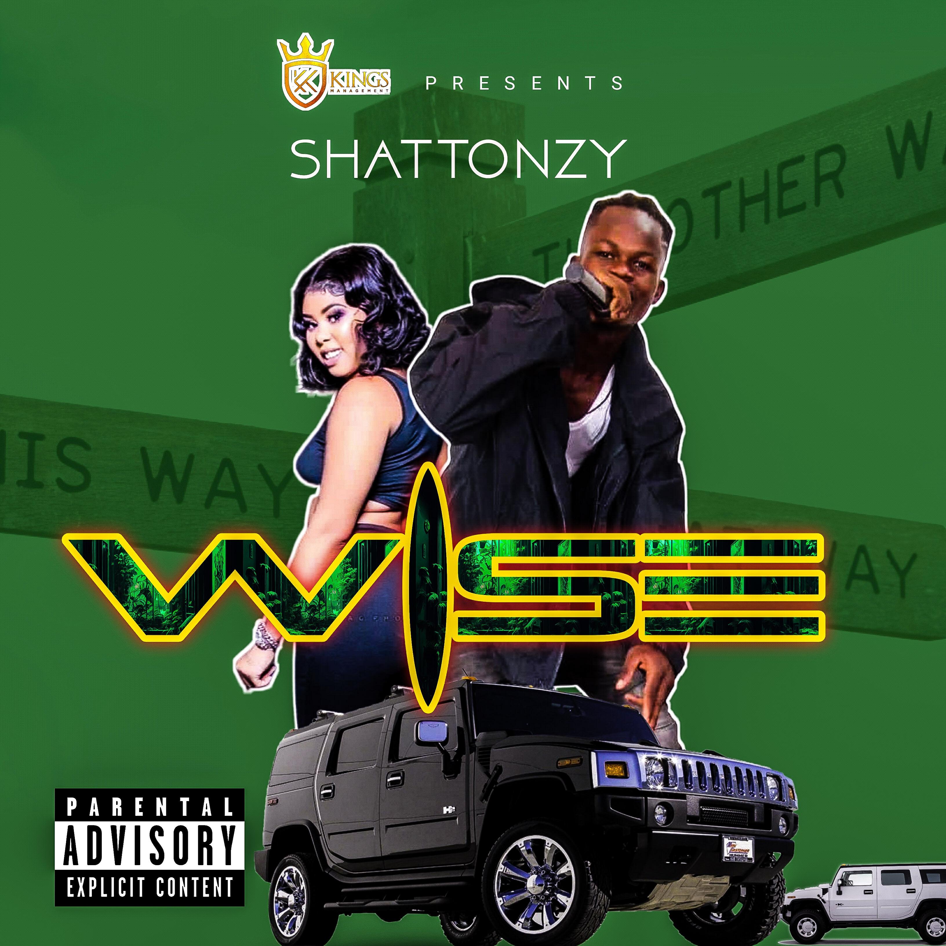 Релиз Wise