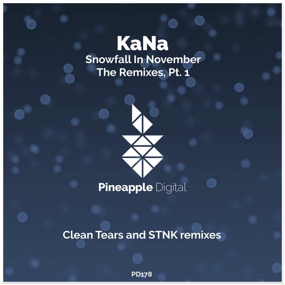 Релиз Snowfall in November - the Remixes, Pt. 1