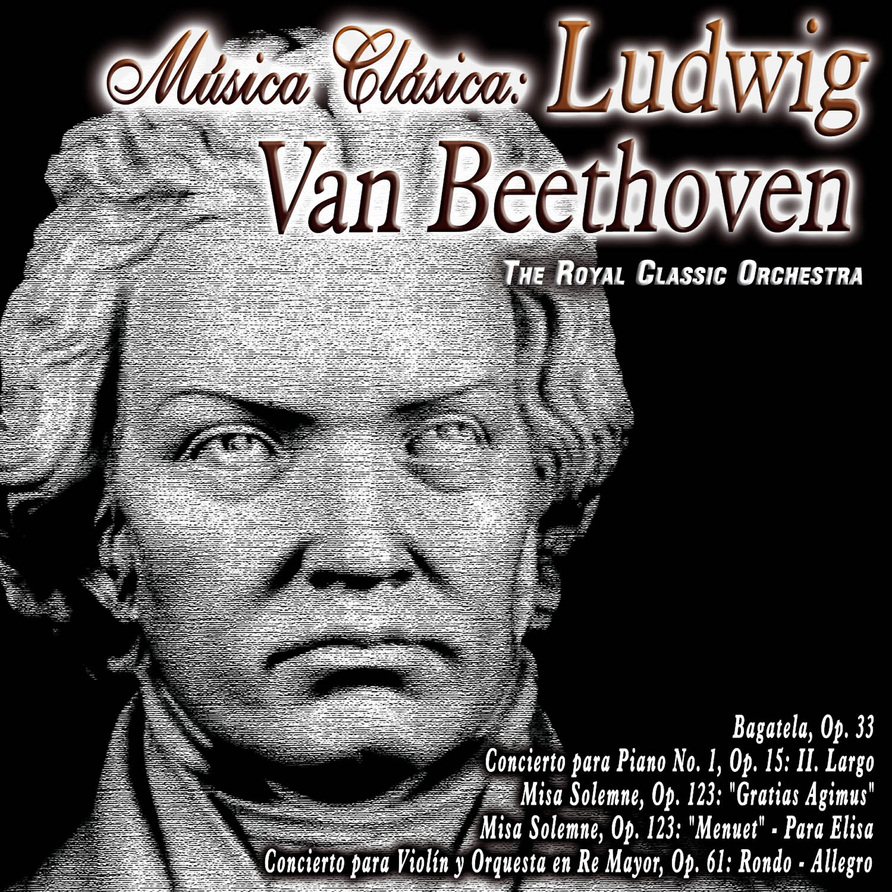 Релиз Música Clásica: Ludwig Van Beethoven