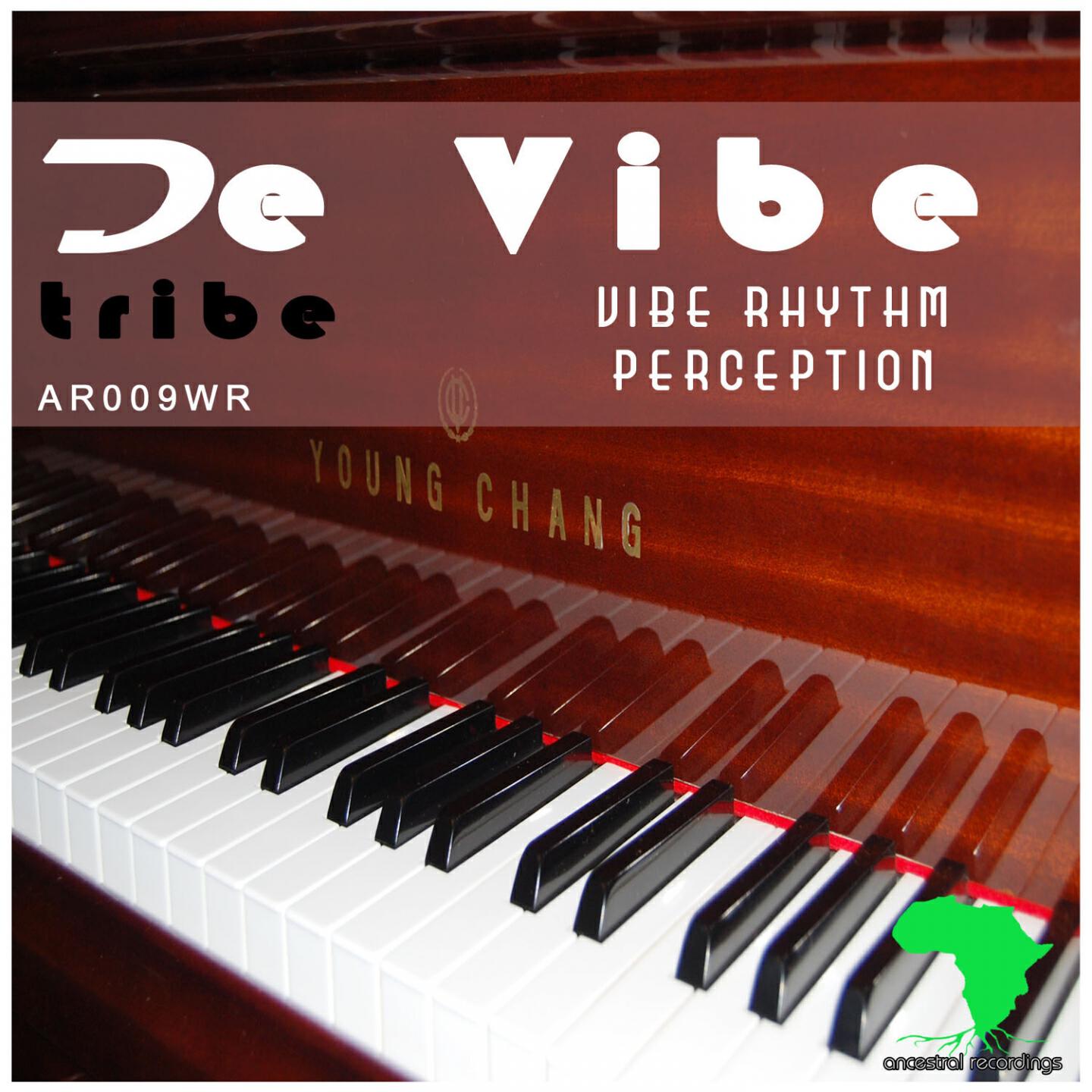 Релиз Vibe Rhythm Perception