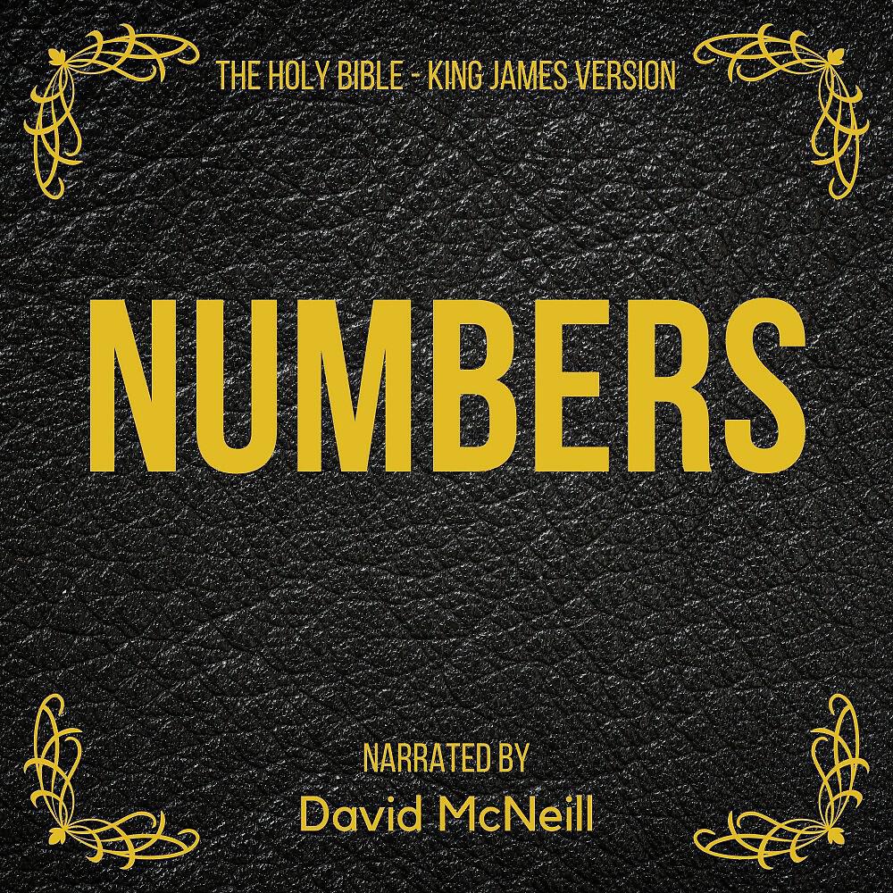 Релиз The Holy Bible - Numbers (King James Version)