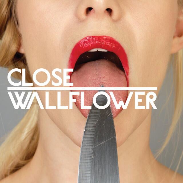 Релиз Wallflower feat. Fink