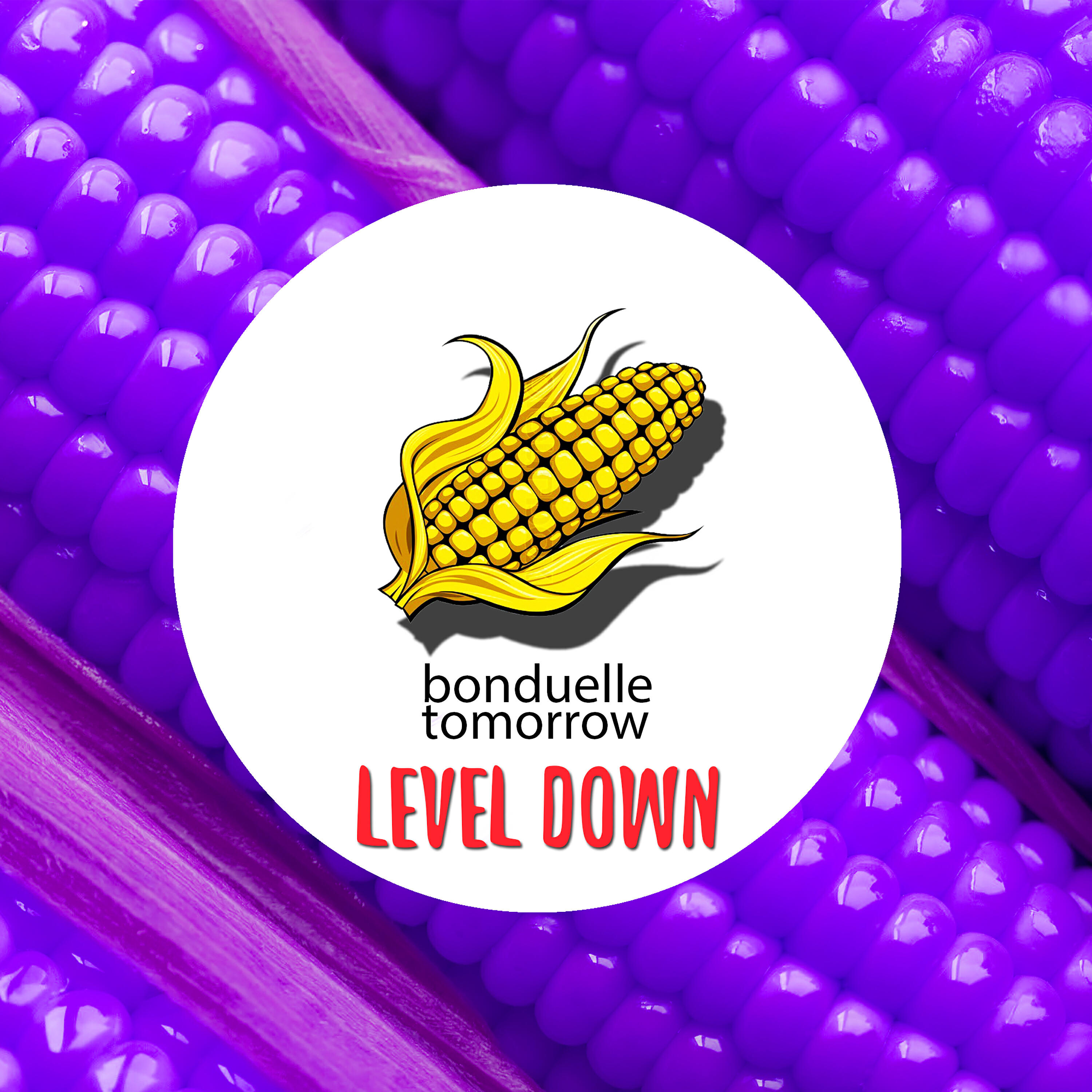 Релиз level down