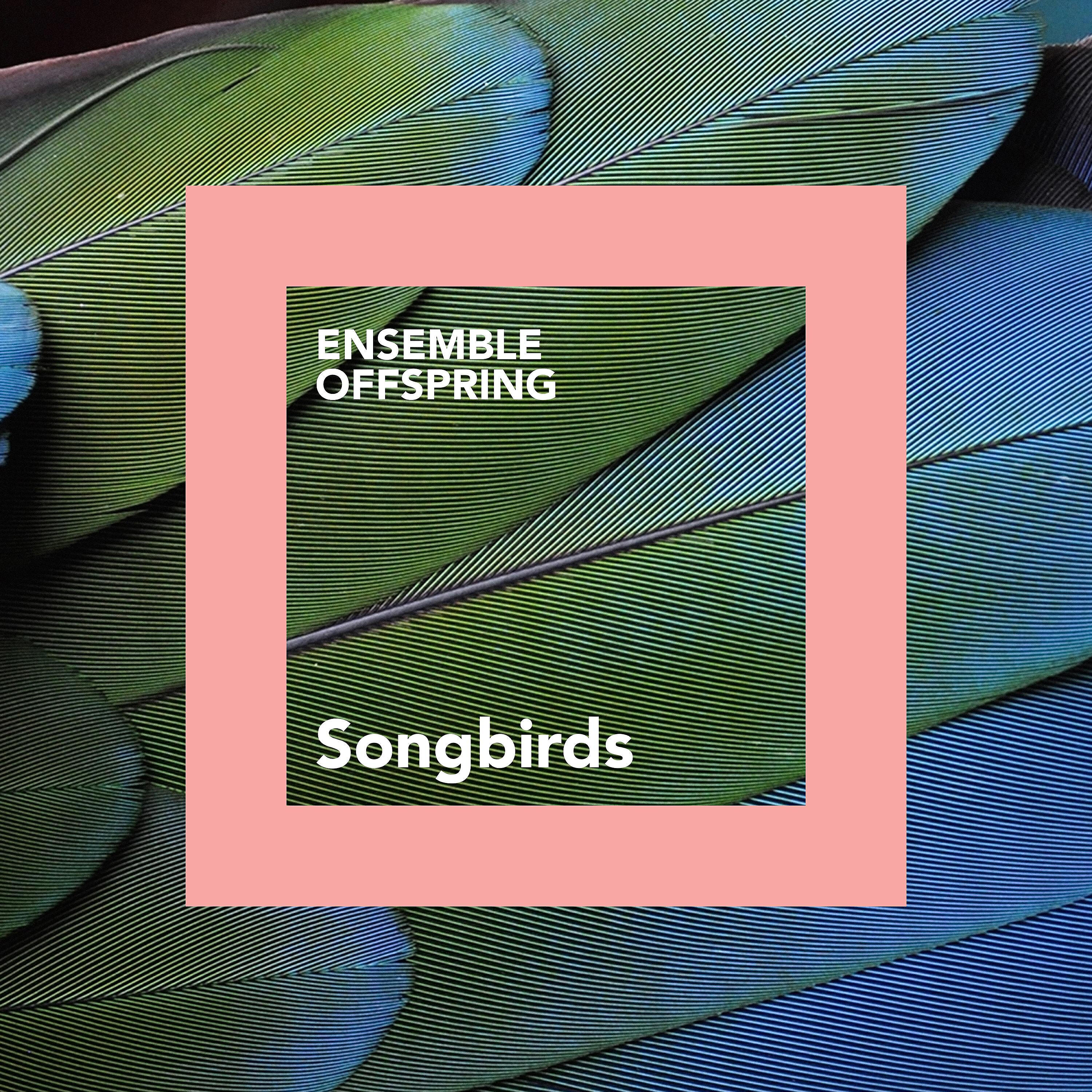 Релиз Songbirds