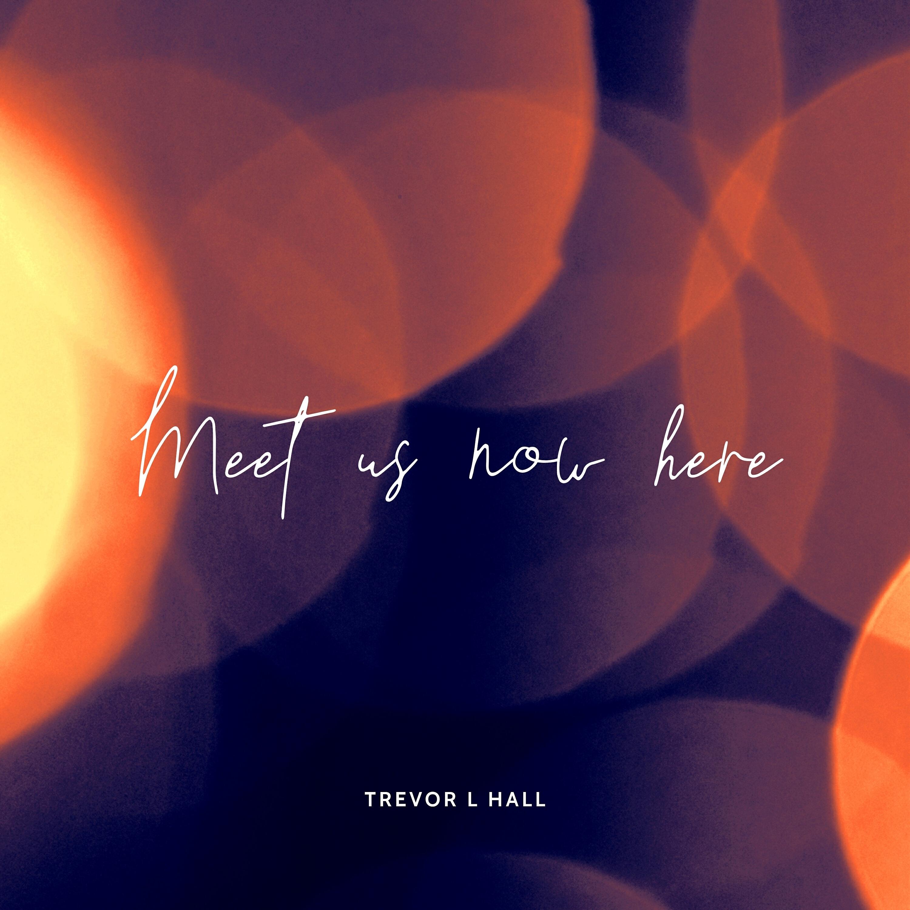 Trevor L Hall