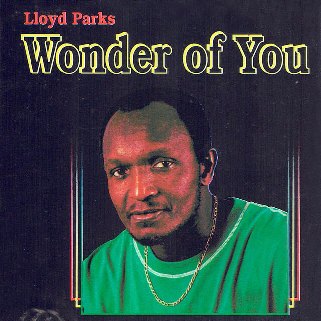 Релиз Wonder of You
