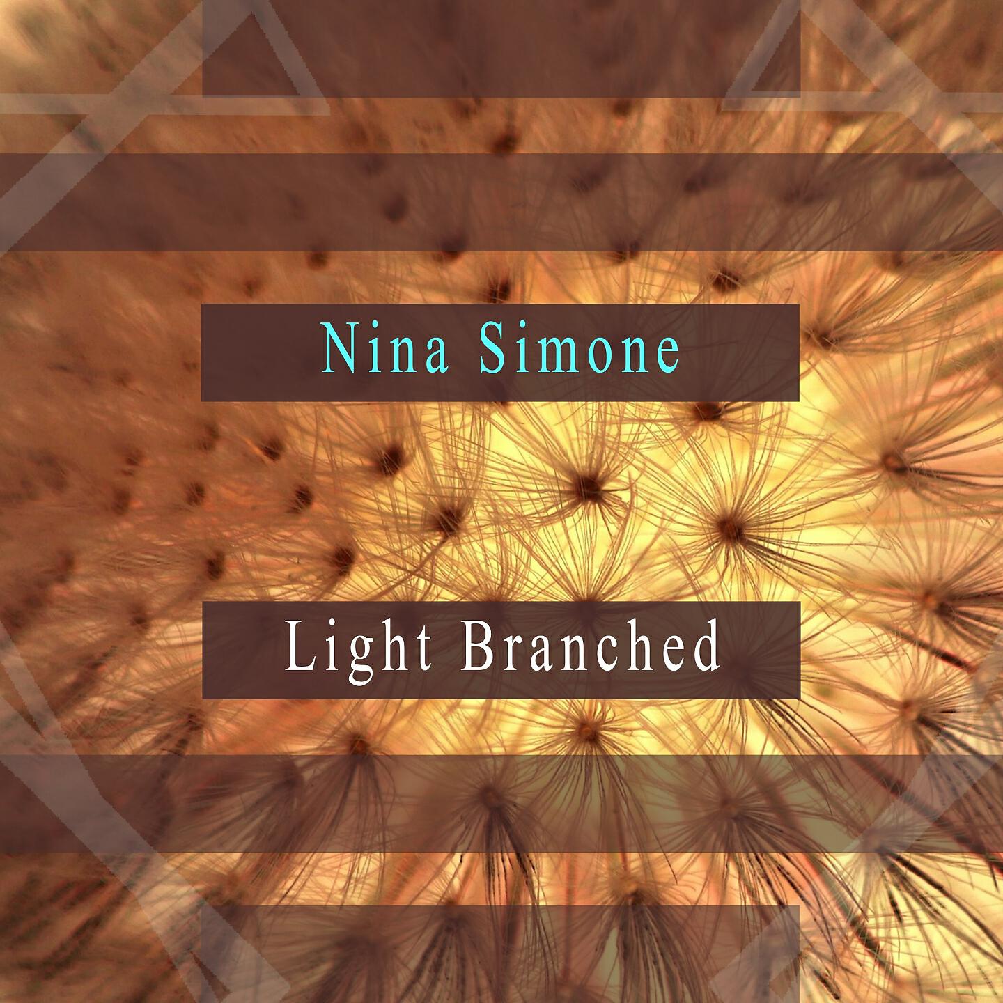 Релиз Light Branched