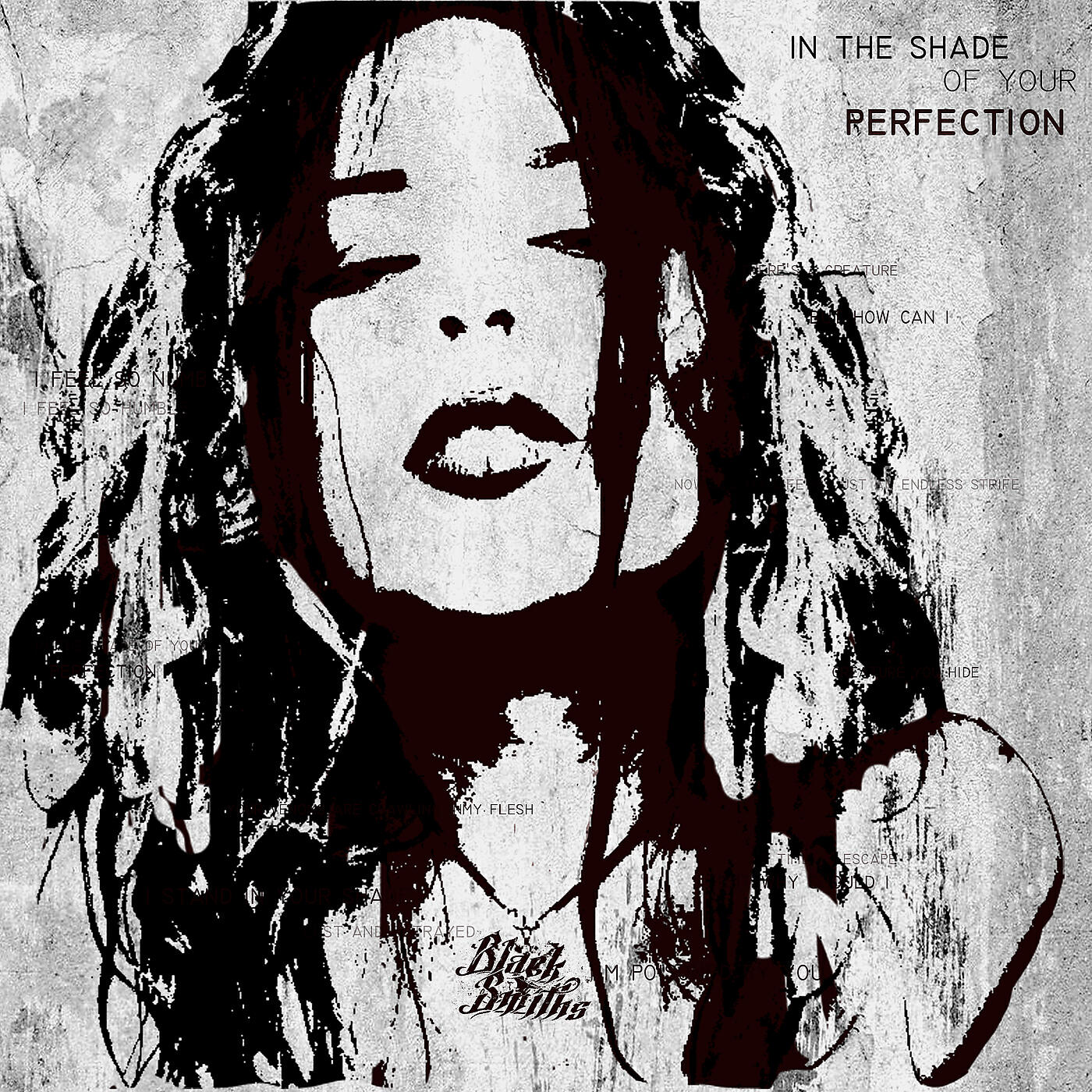 Релиз In the Shade of Your Perfection