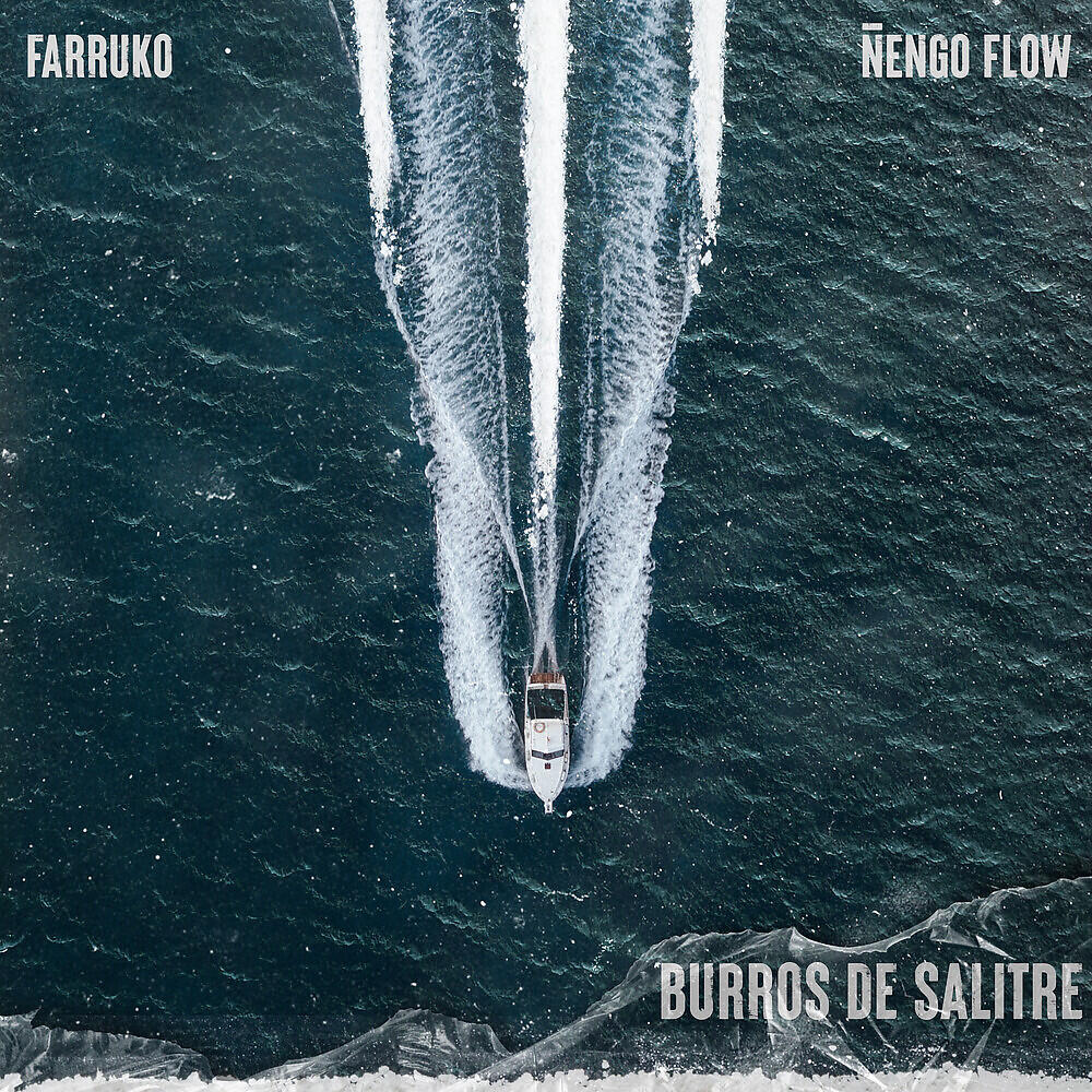 Релиз Burros de Salitre