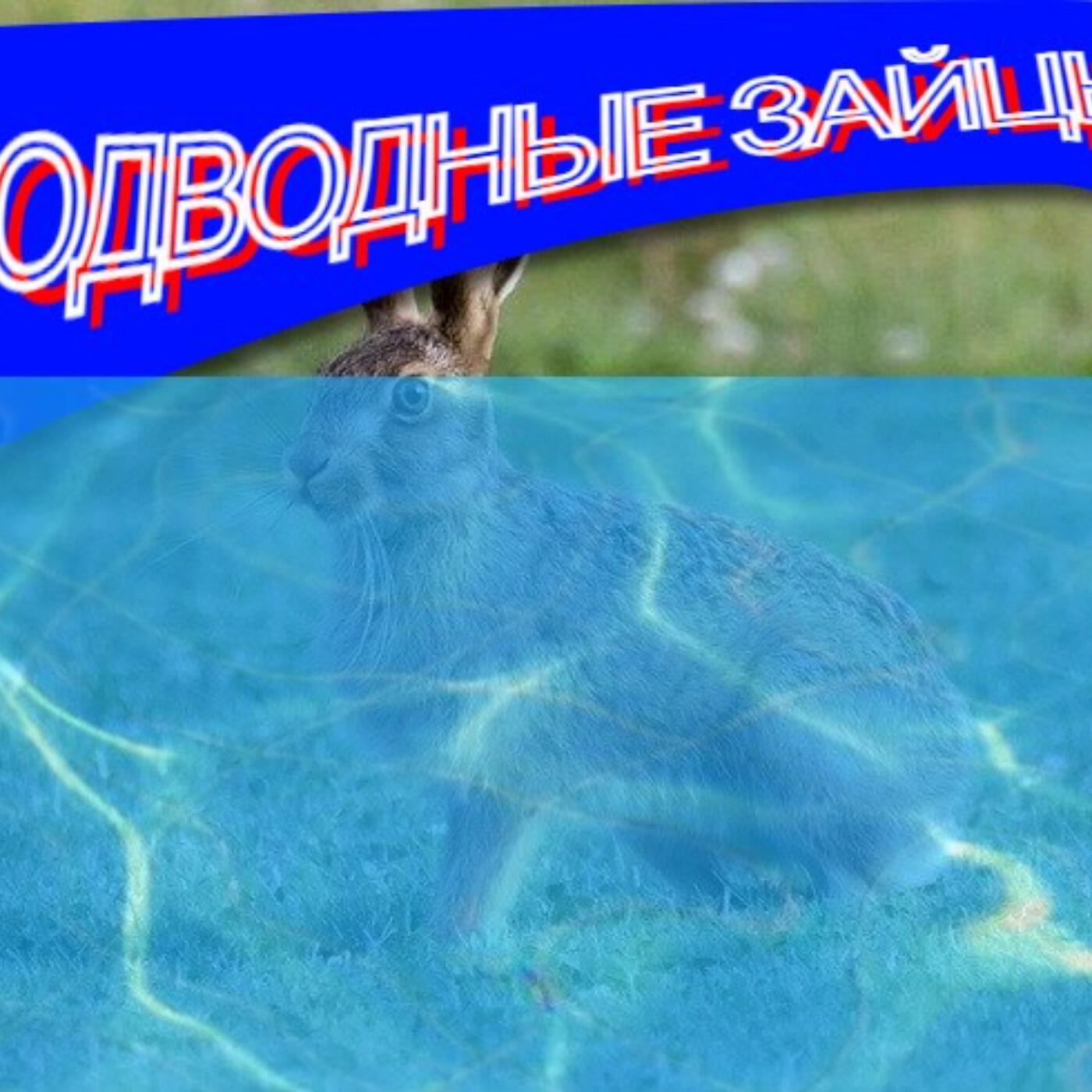 Релиз п0дводные зайцы