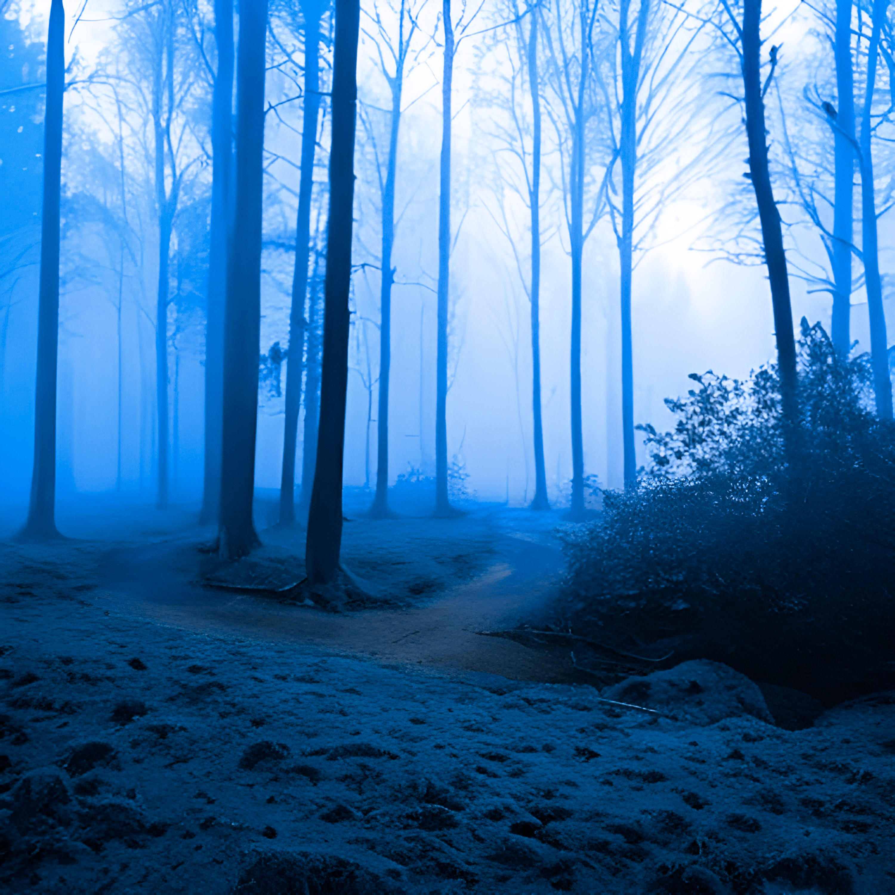 Релиз Forest Singing