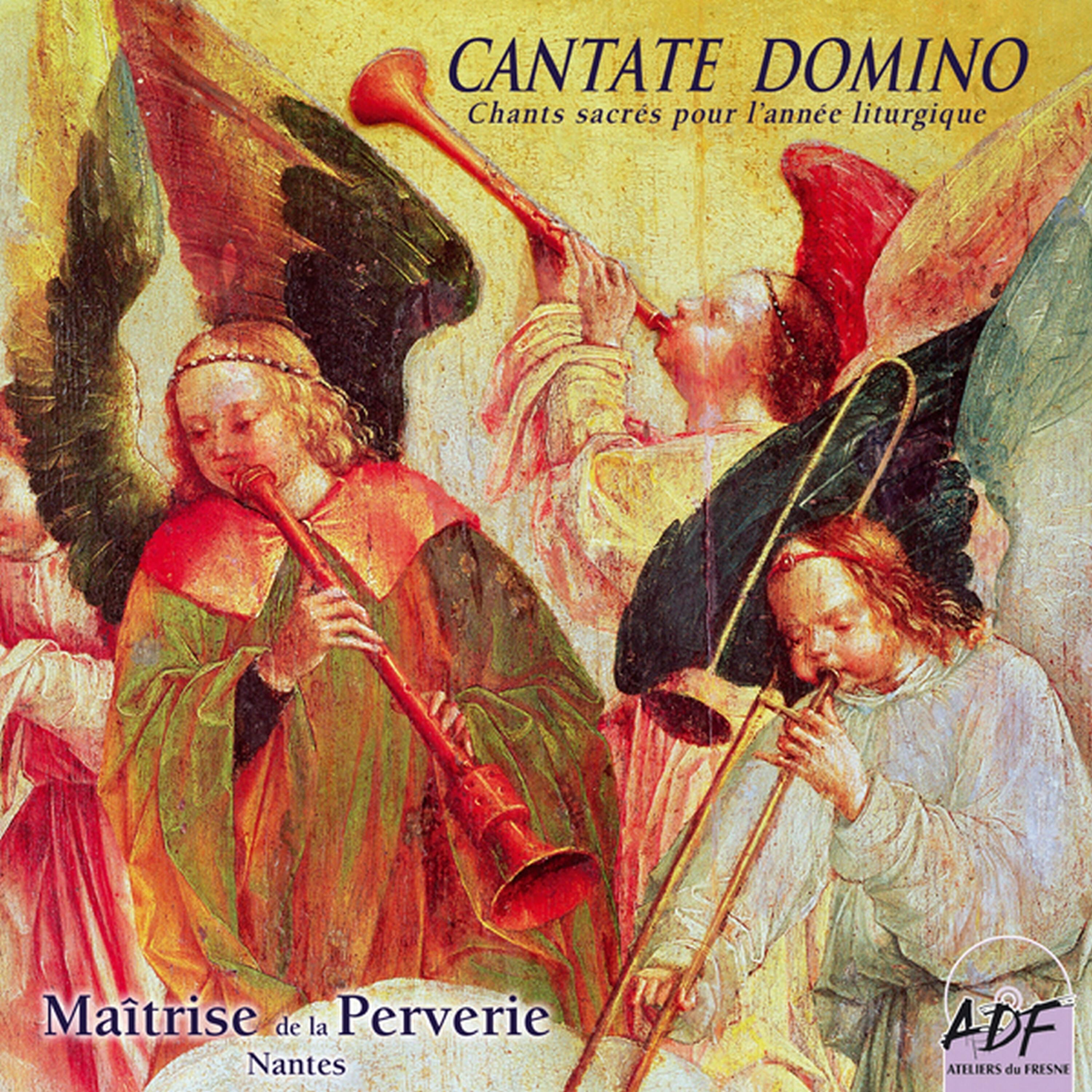 Maîtrise de la Perverie de Nantes