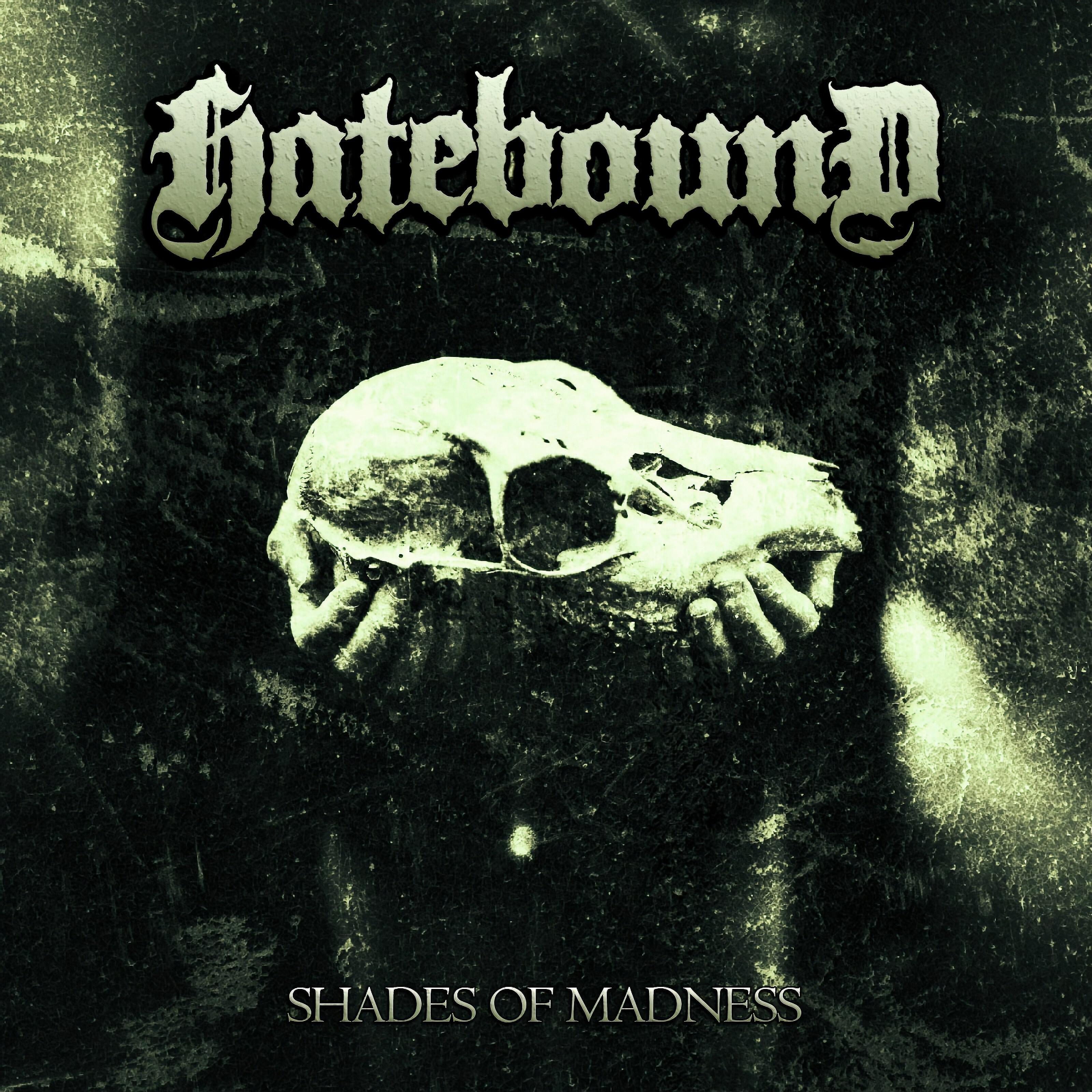 Релиз Shades of Madness